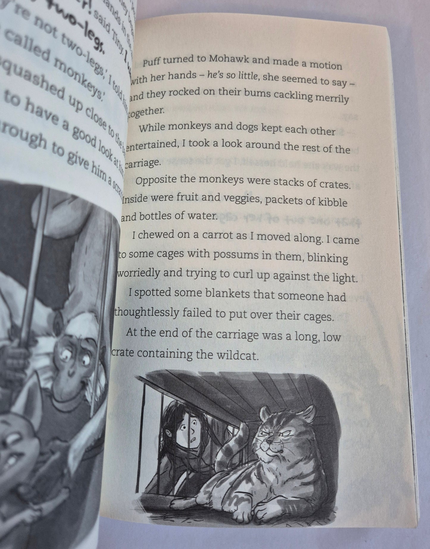 Animal Train (Wolf Girl #6) by Anh Do