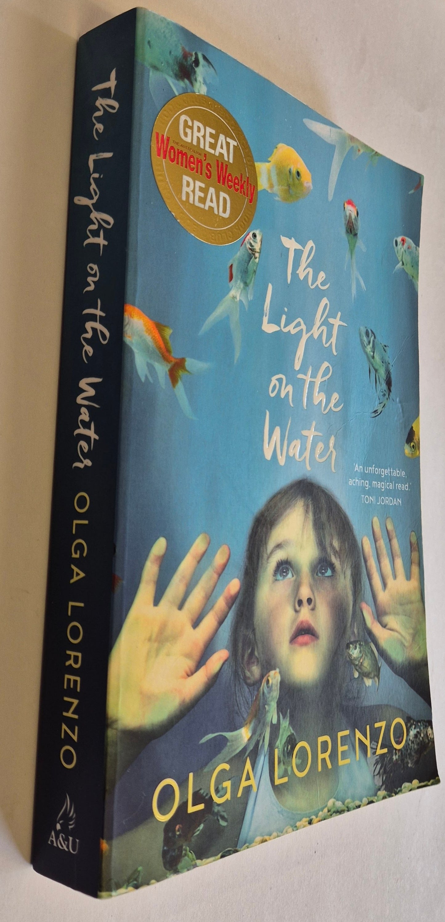 The Light on the Water by Olga Lorenzo