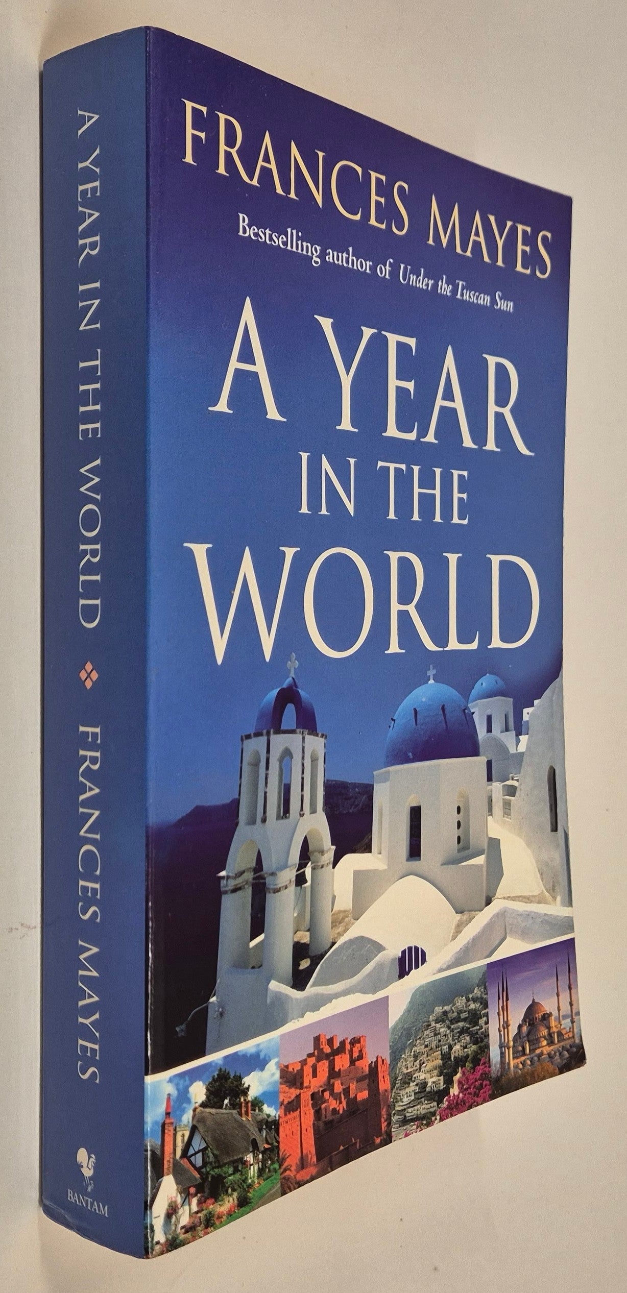 A Year in the World by Frances Mayes