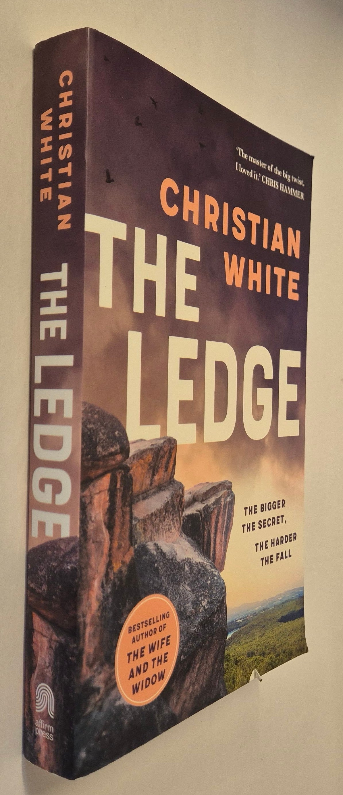 The Ledge by Christian White