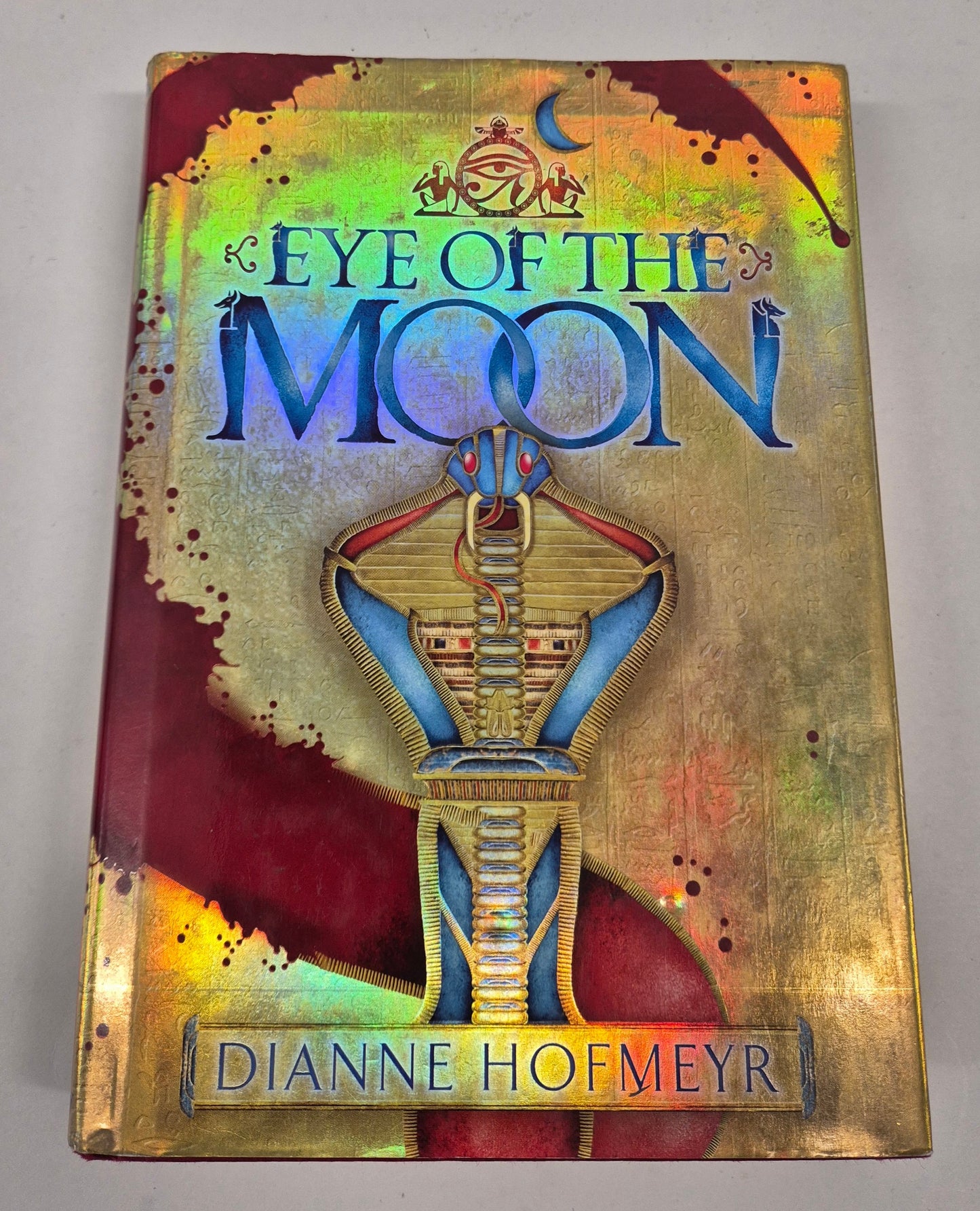 Eye of the Moon by Dianne Hofmeyr