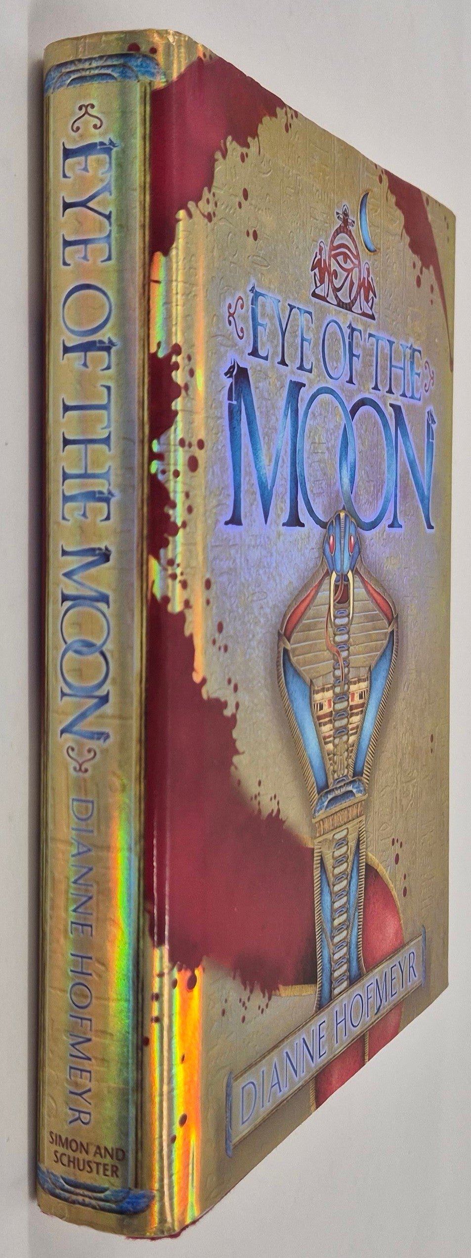 Eye of the Moon by Dianne Hofmeyr