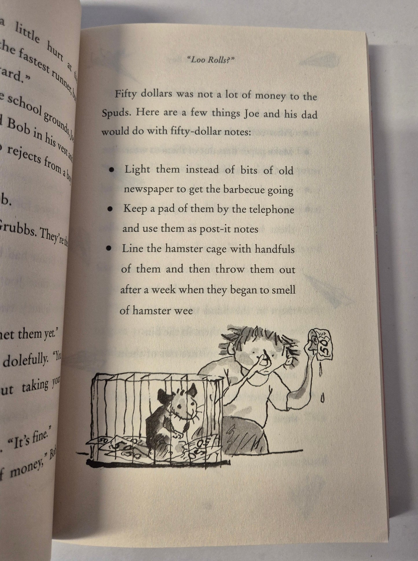 Billionaire Boy by David Walliams