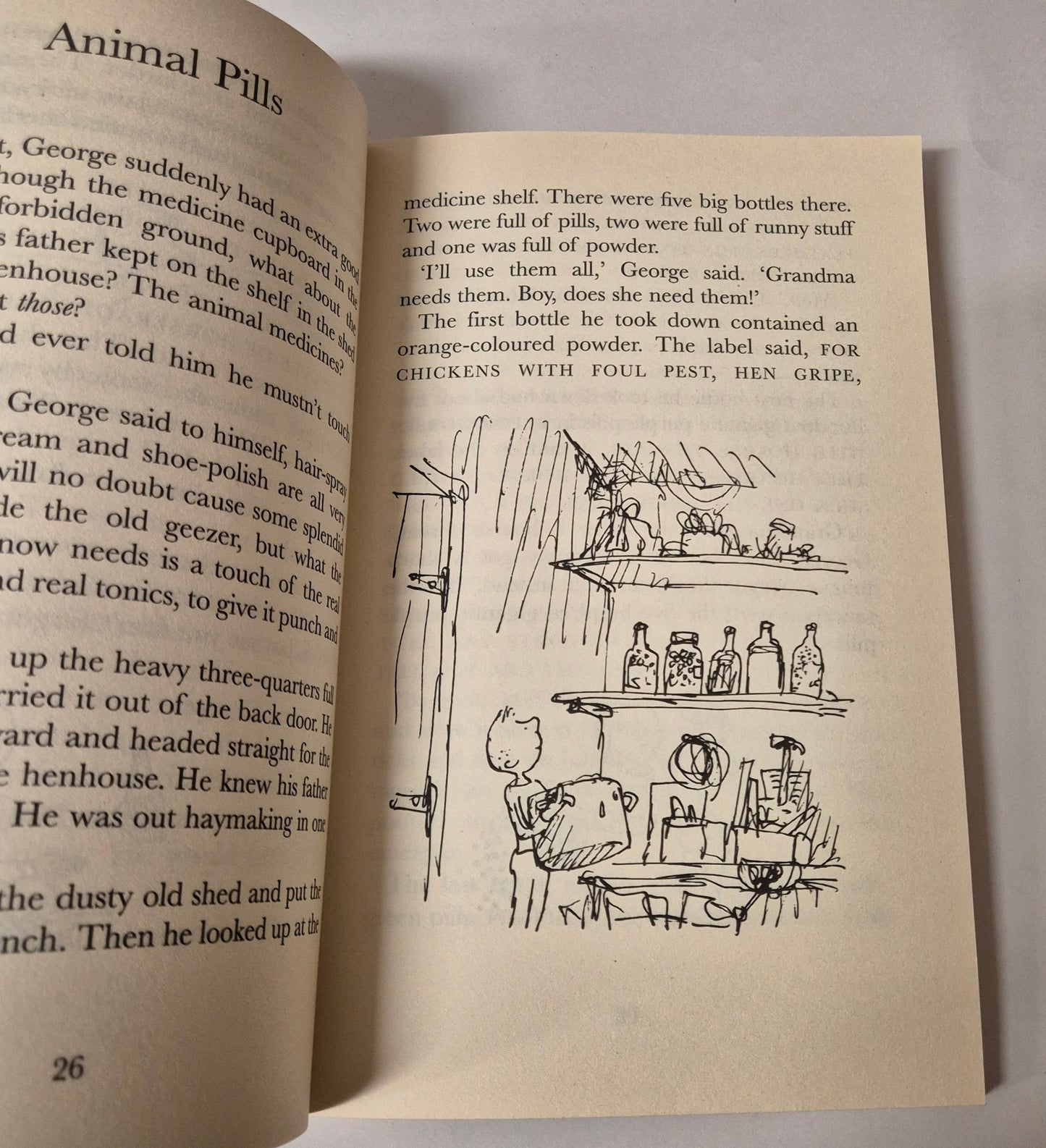 George's Marvellous Medicine by Roald Dahl