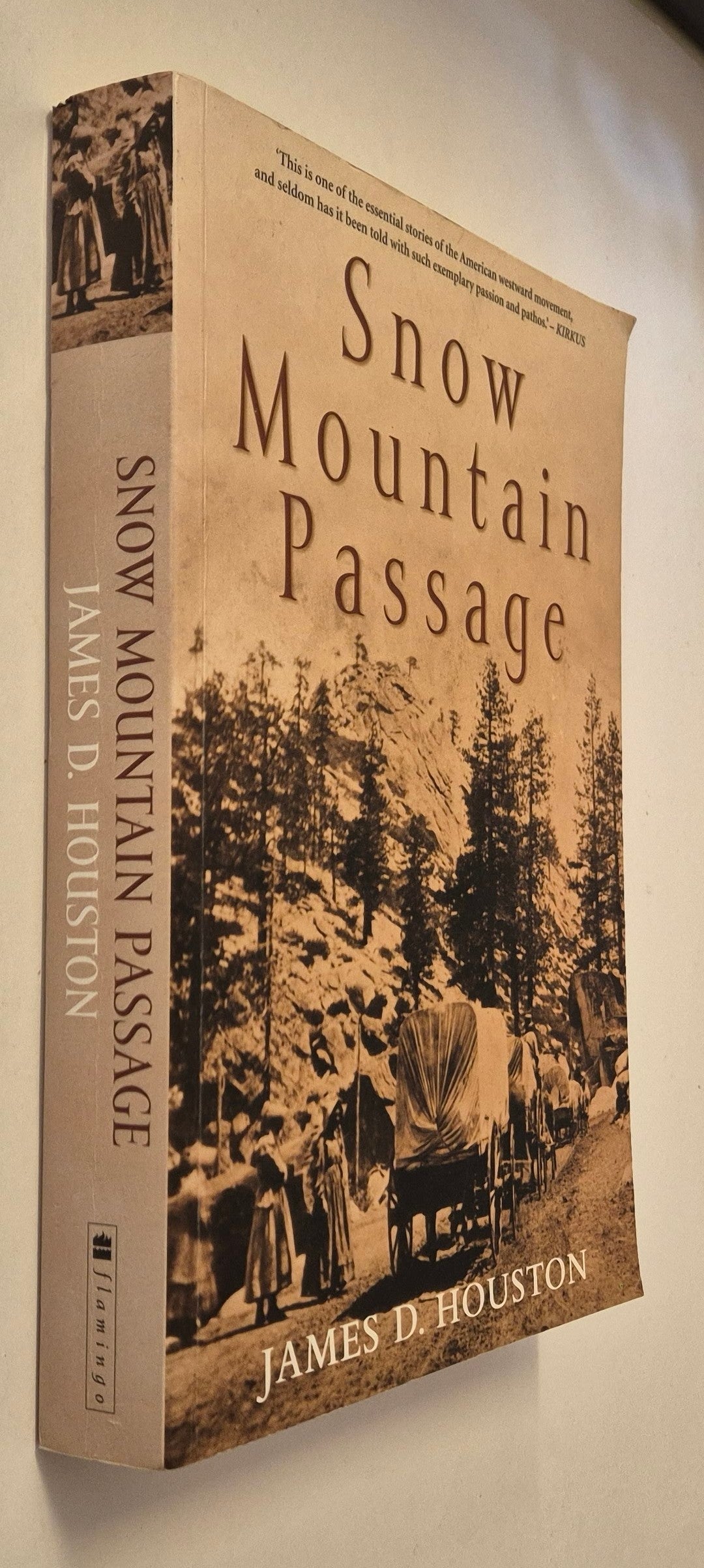 Snow Mountain Passage by James D. Houston