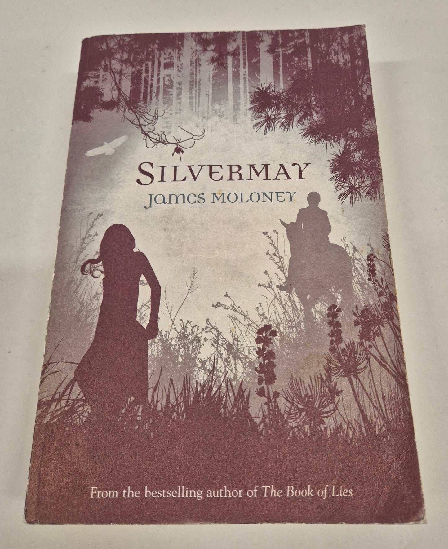 Silvermay (Silvermay #1) by James Moloney
