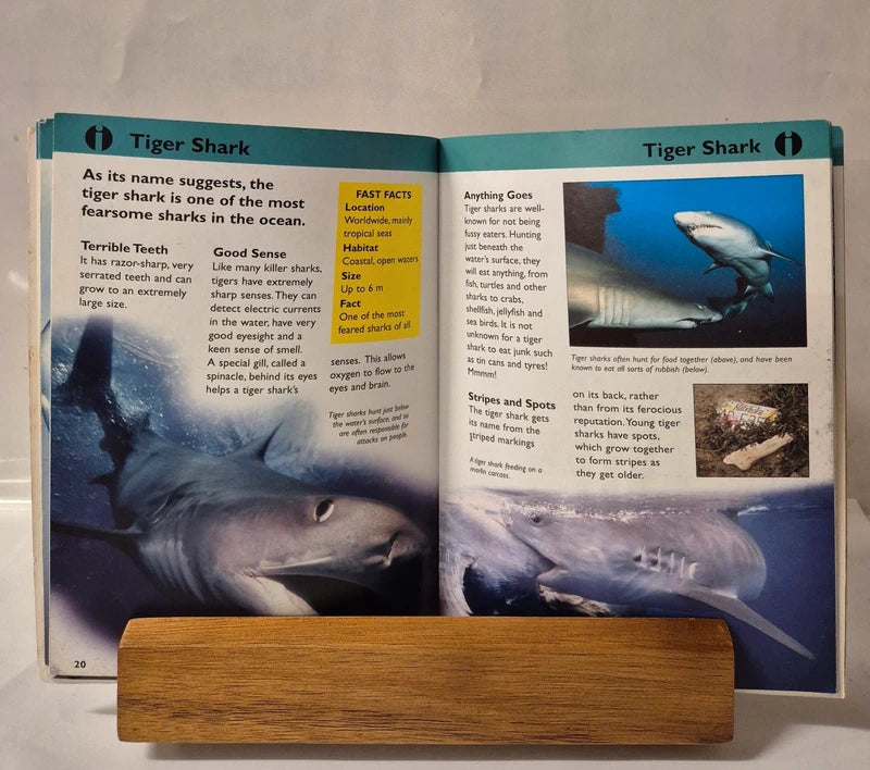 Sharks: Essential Facts at Your Fingertips (iQUEST) by Simon Mugford