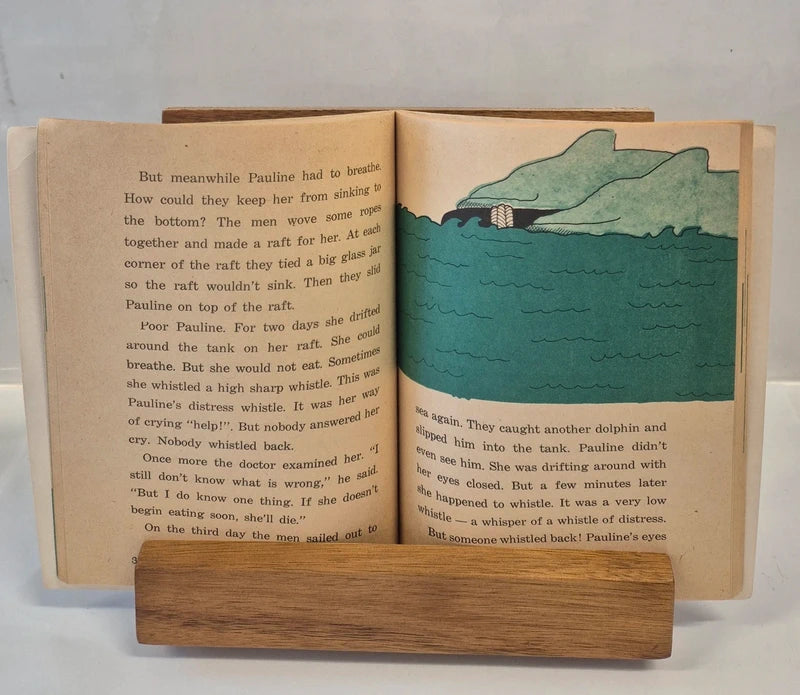 Nine True Dolphin Stories by Margaret Davidson