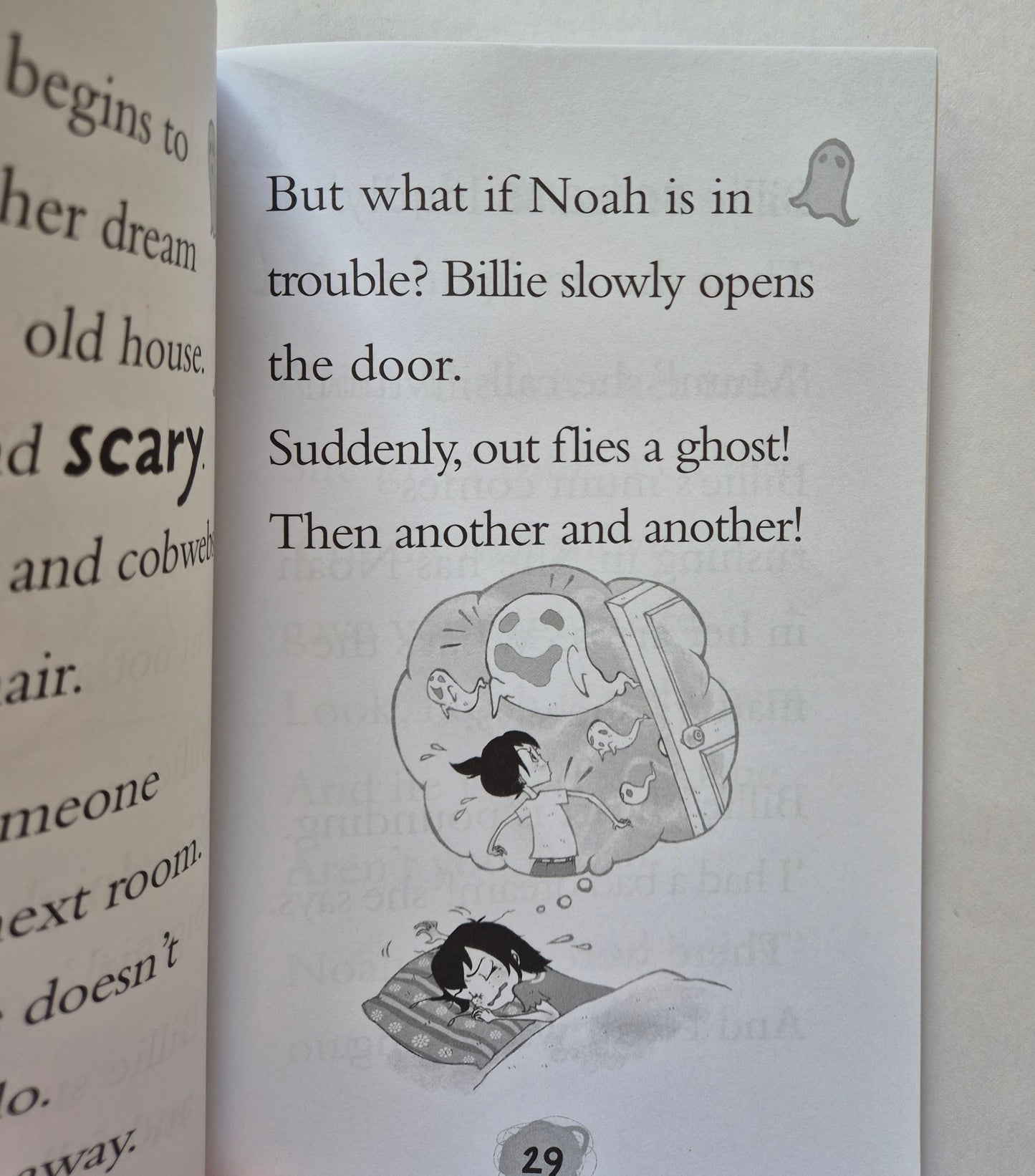 The Night Fright (Billie B Brown #18) by Sally Rippin