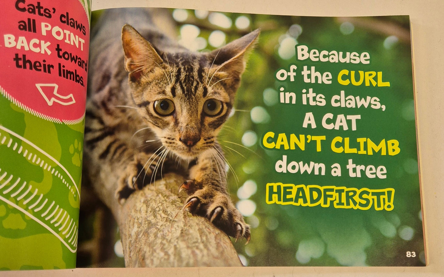 The Truth About Cats & Dogs: Totally Amazing Facts About Our Furry Best Friends by Nikki Potts