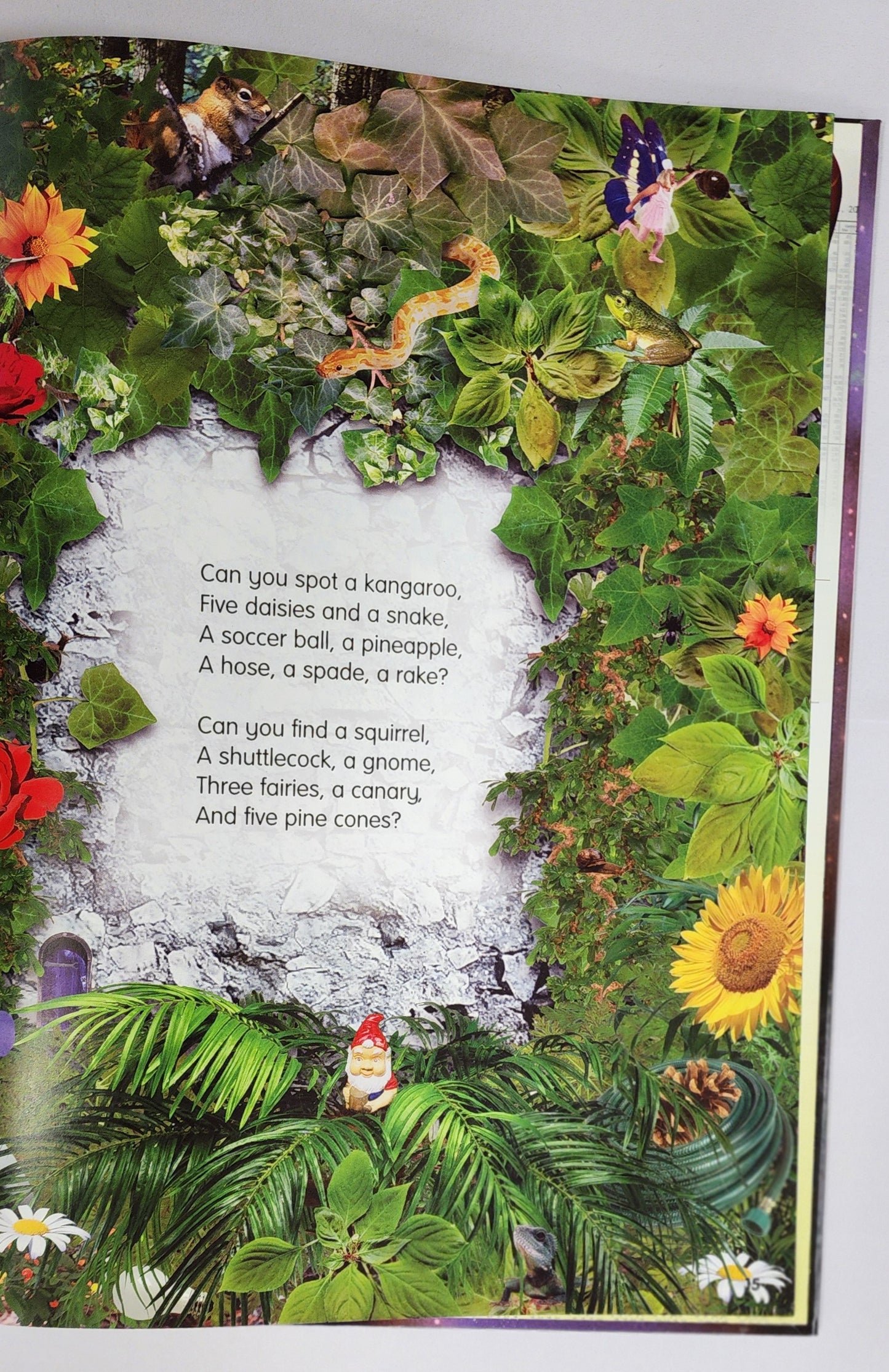 Spot What!: Amazing by Nick Bryant and Rowan Summers