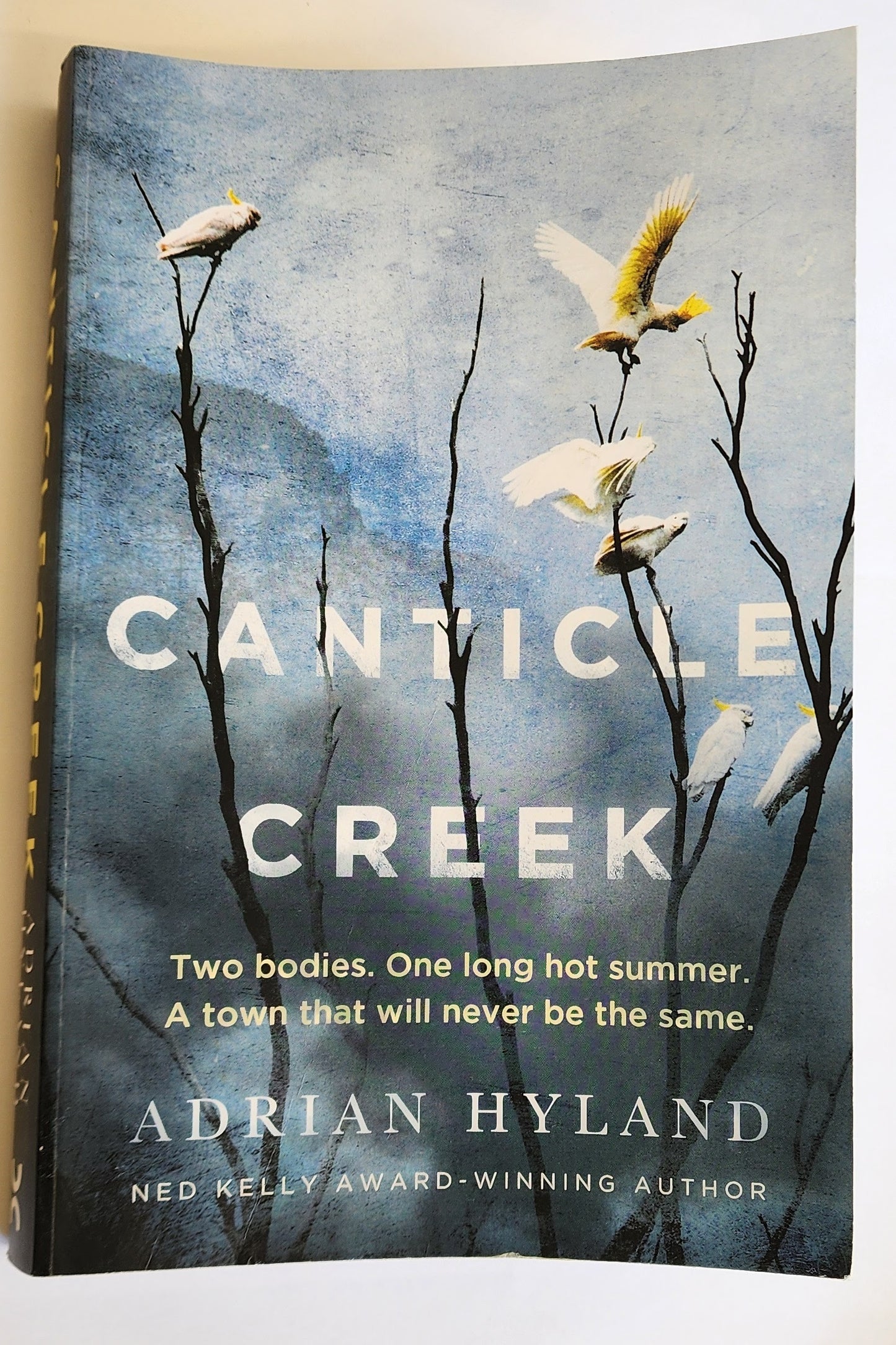 Canticle Creek (Jesse Redpath #1) by Adrian Hyland