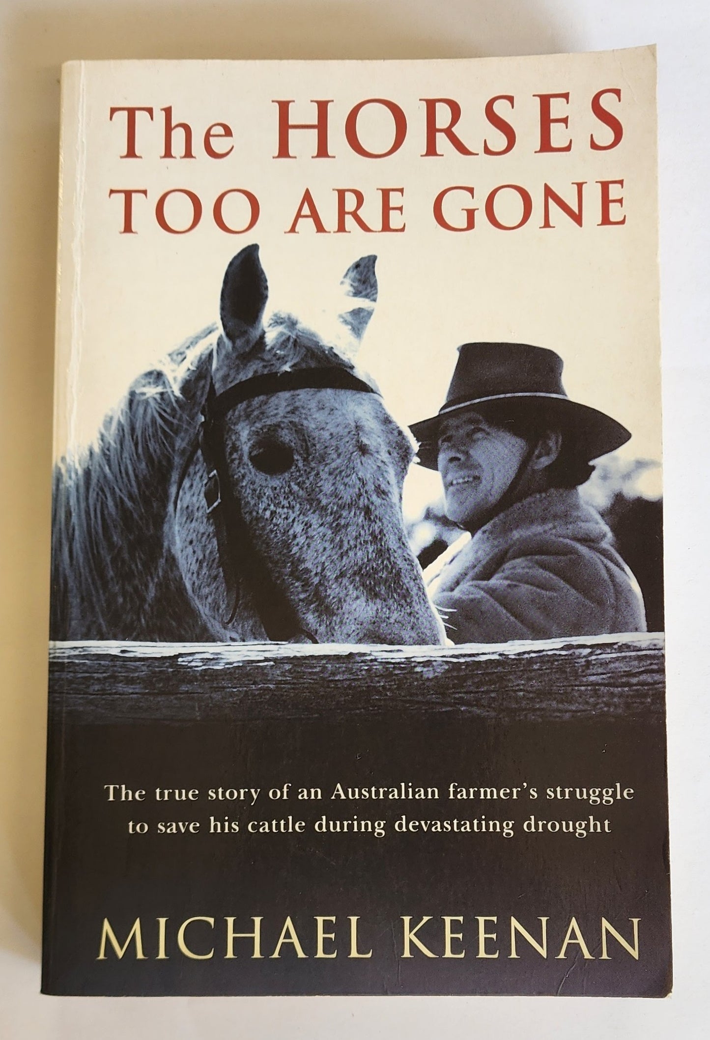 The Horses Too Are Gone by Michael Keenan