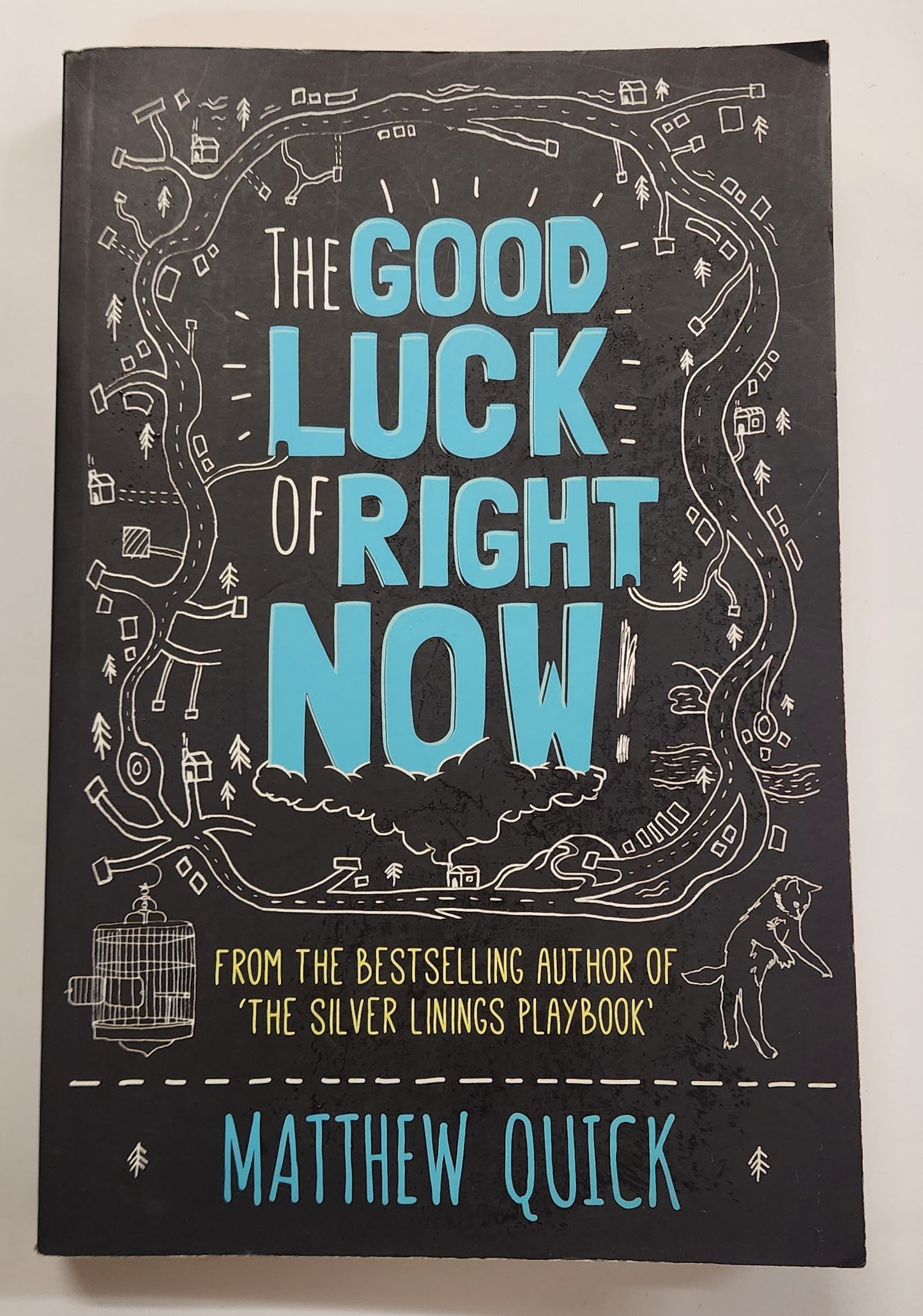 The Good Luck of Right Now by Matthew Quick
