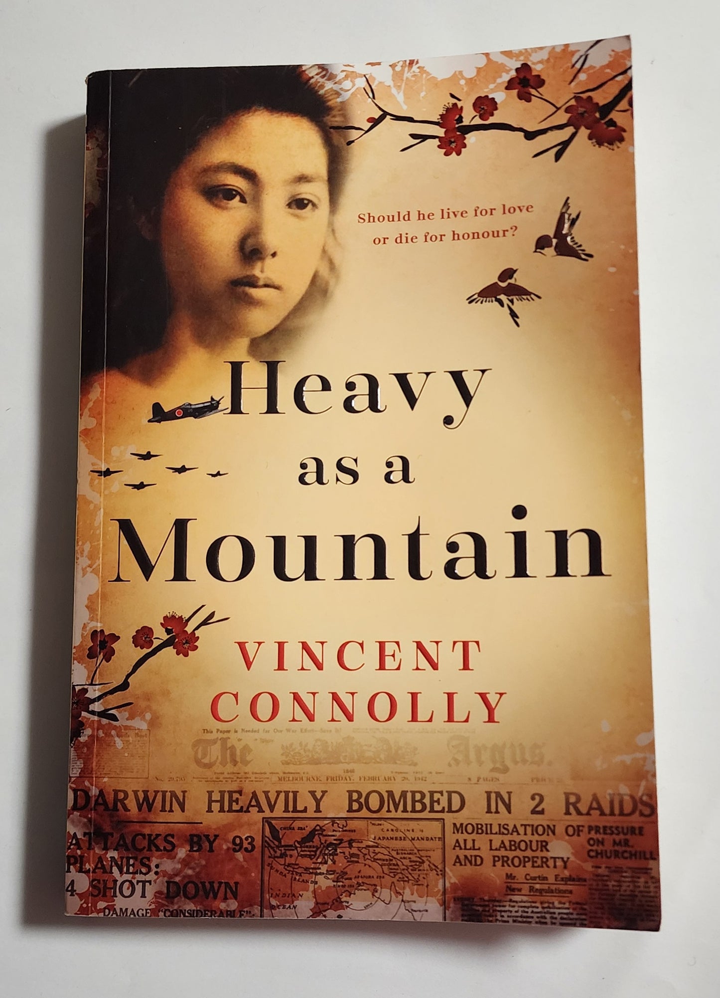 Heavy as a Mountain by Vincent Connolly
