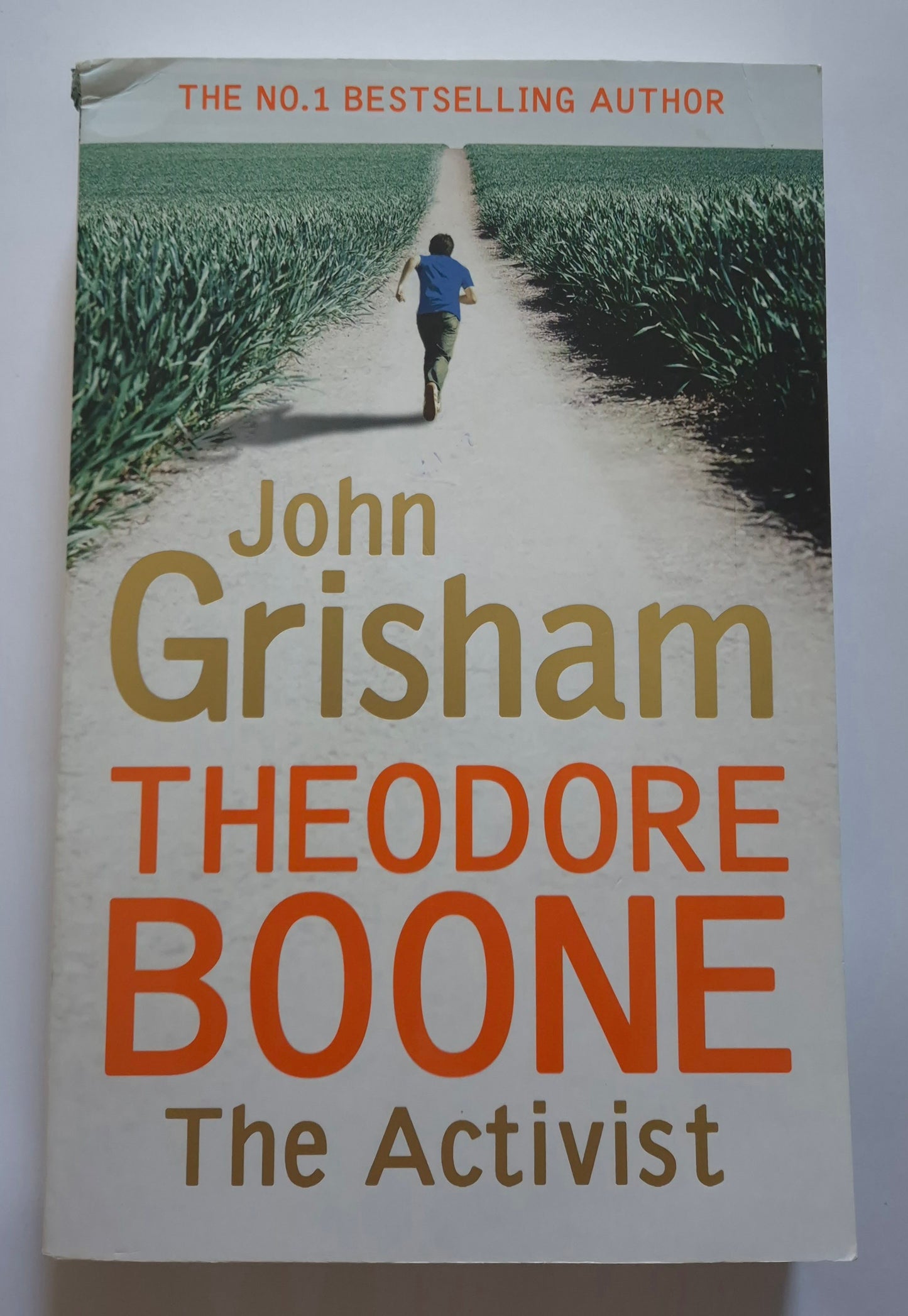The Activist (Theodore Boone #4) by John Grisham