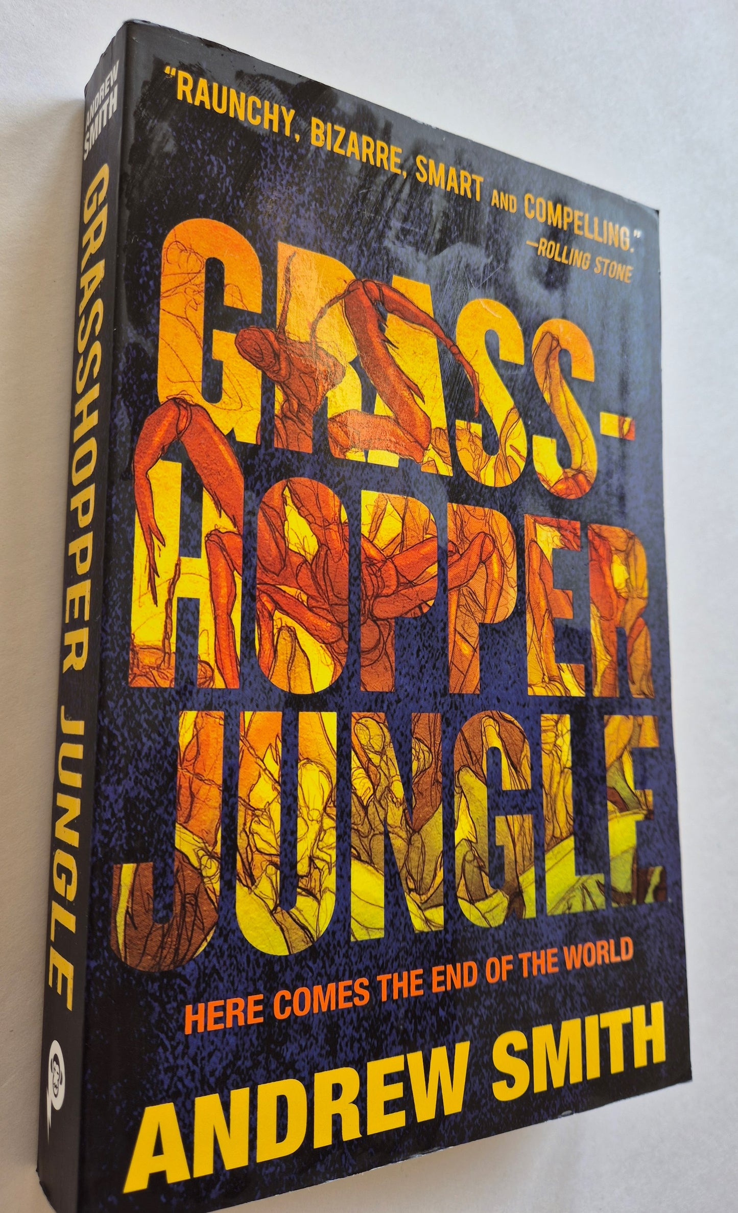 Grasshopper Jungle (Grasshopper Jungle #1) by Andrew Smith