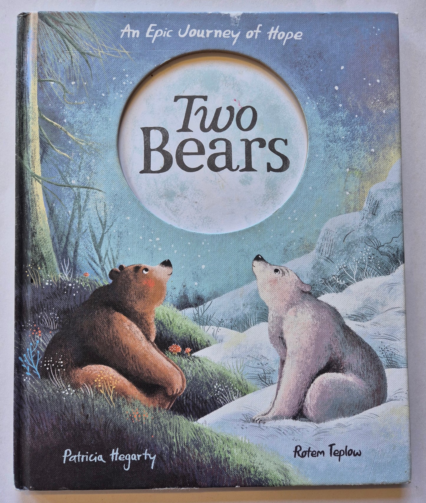 Two Bears by Patricia Hegarty