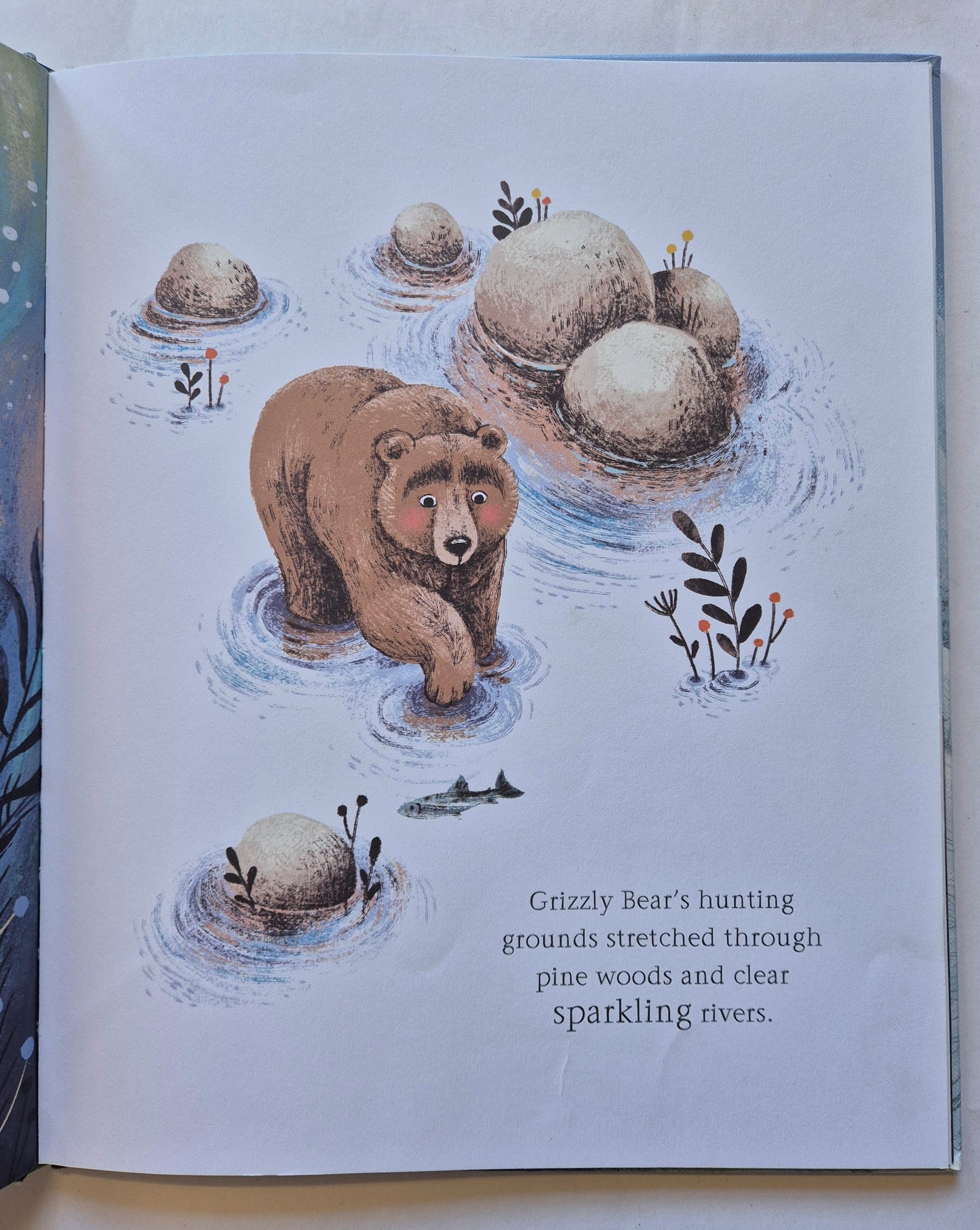 Two Bears by Patricia Hegarty
