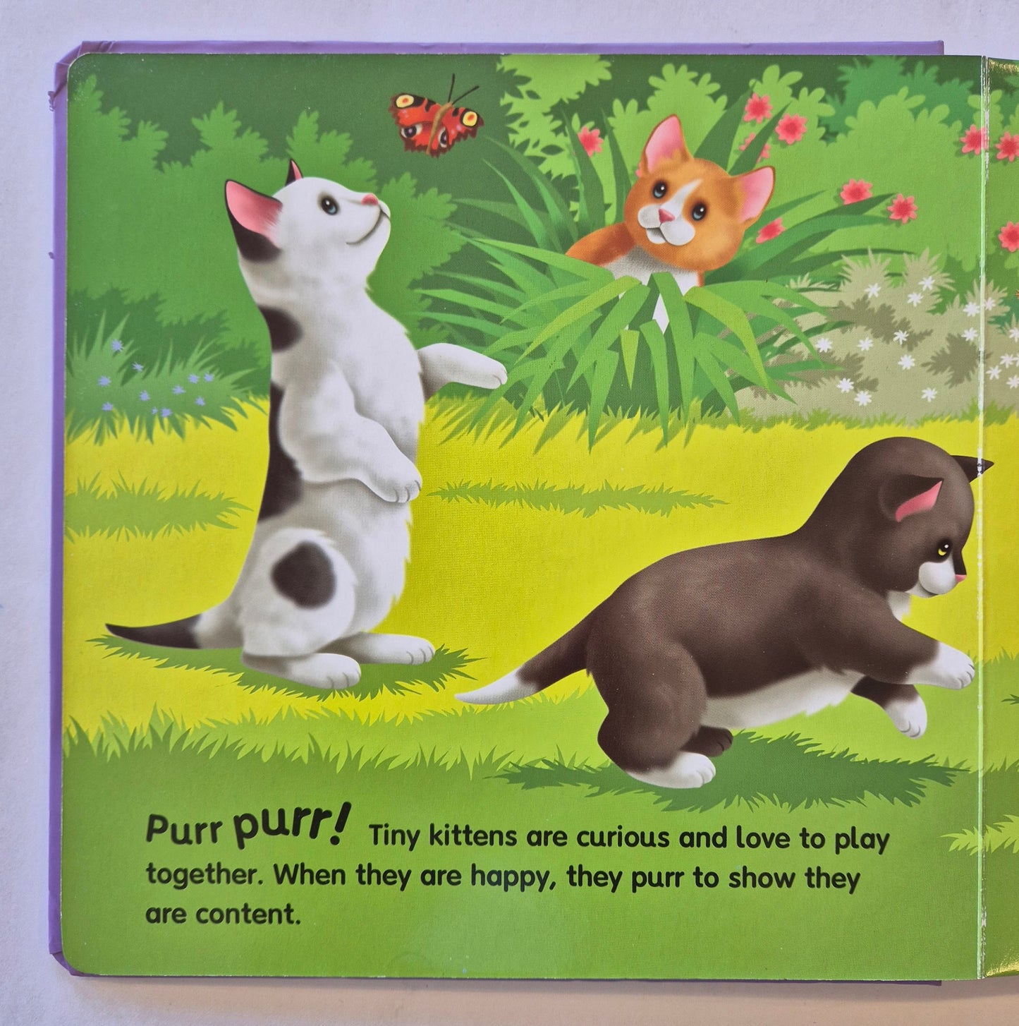 Cats and Dogs
