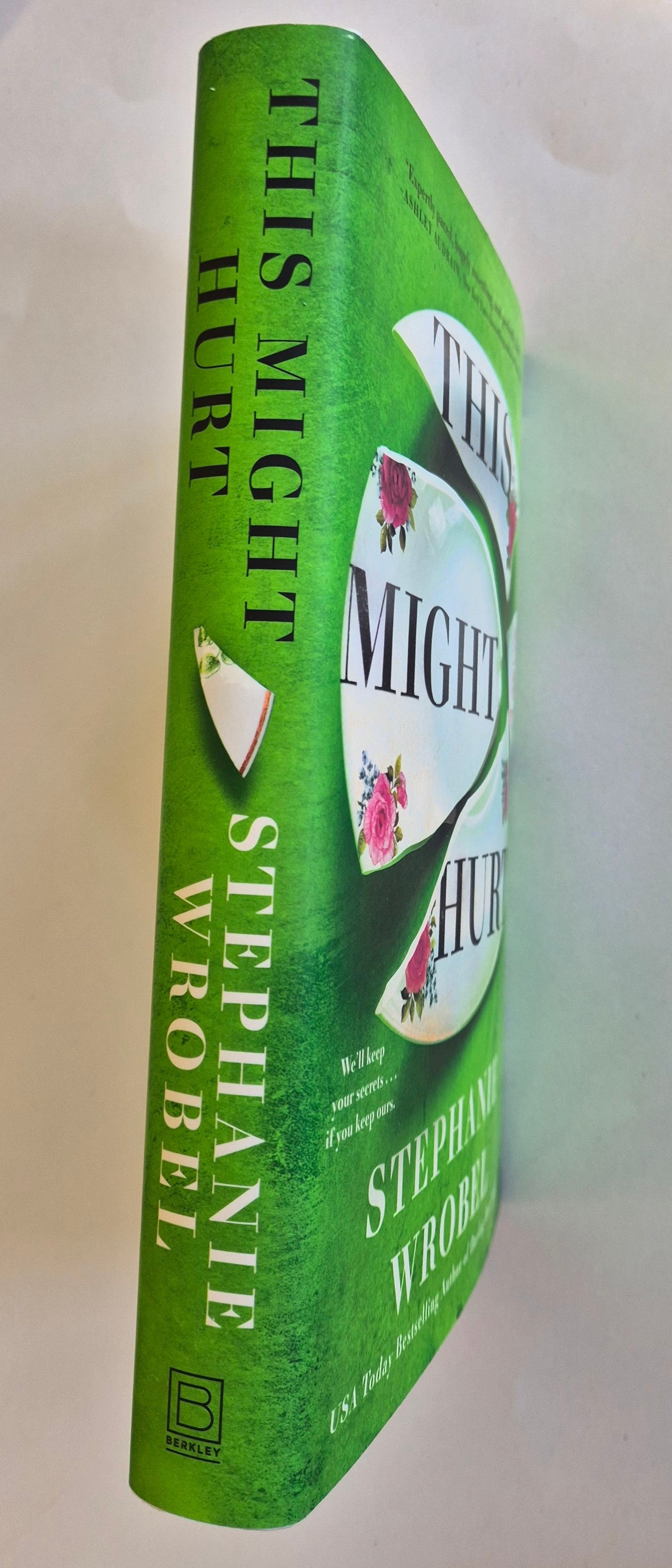 This Might Hurt by Stephanie Wrobel