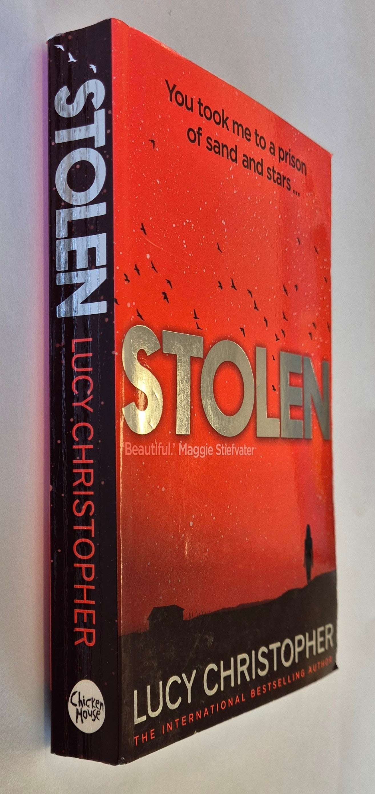 Stolen (Stolen #1) by Lucy Christopher