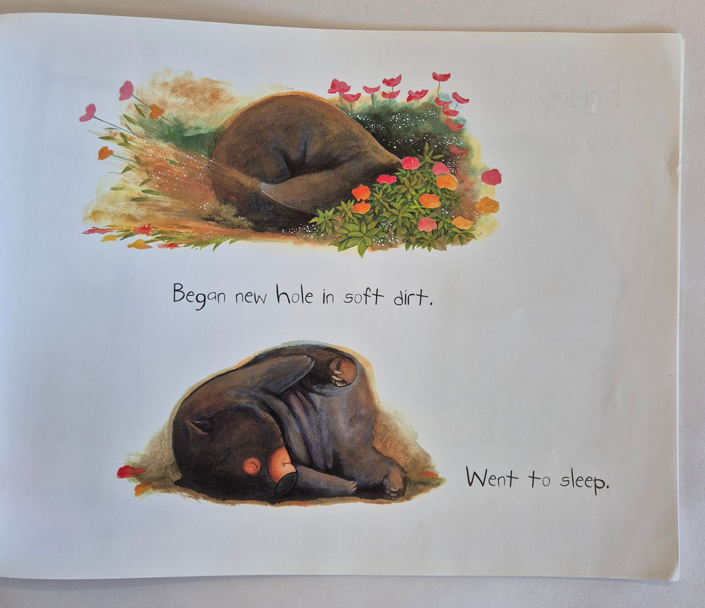 Diary of a Wombat by Jackie French & Bruce Whatley