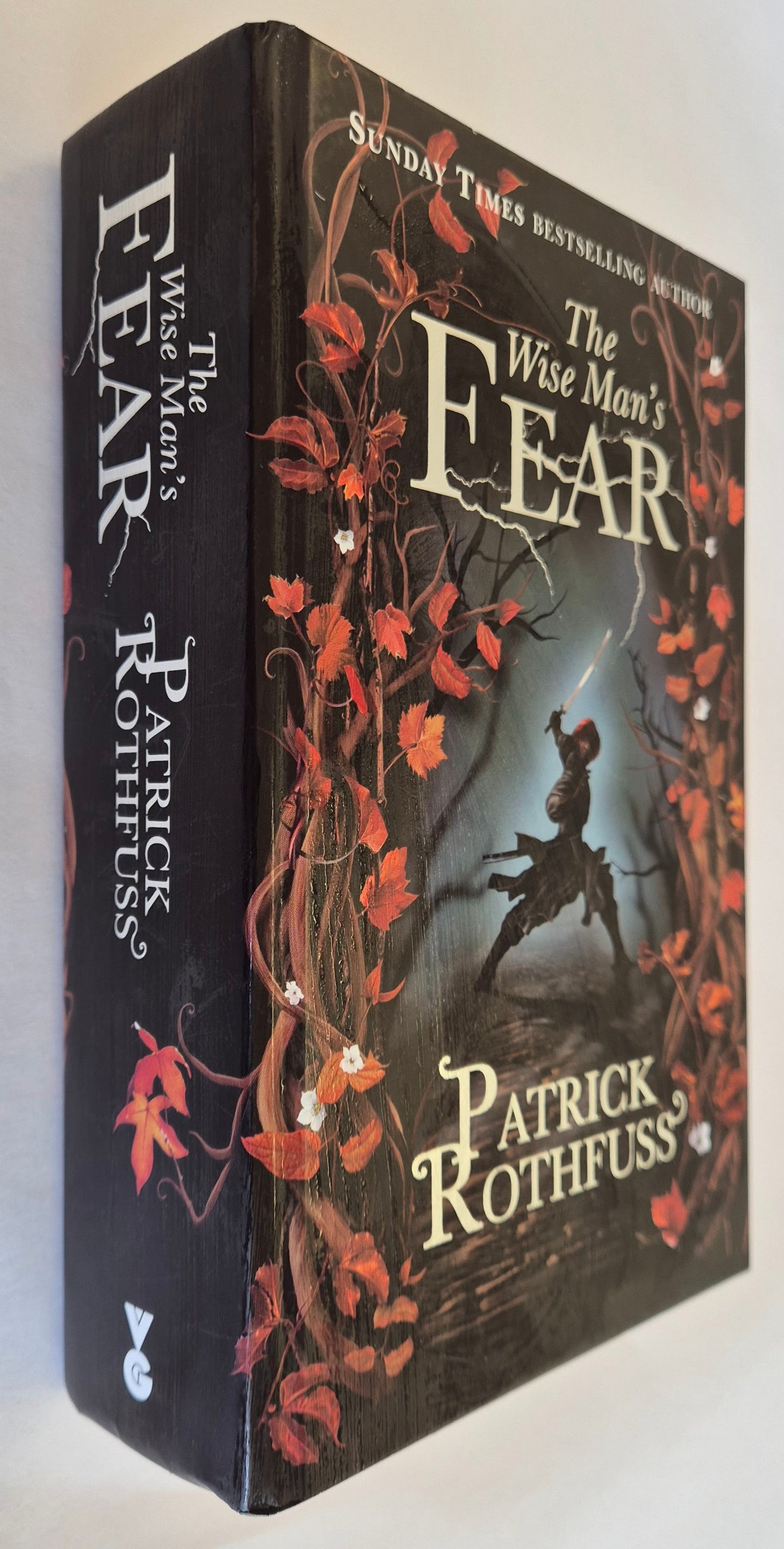 The Wise Man's Fear (The Kingkiller Chronicle #2) by Patrick Rothfuss