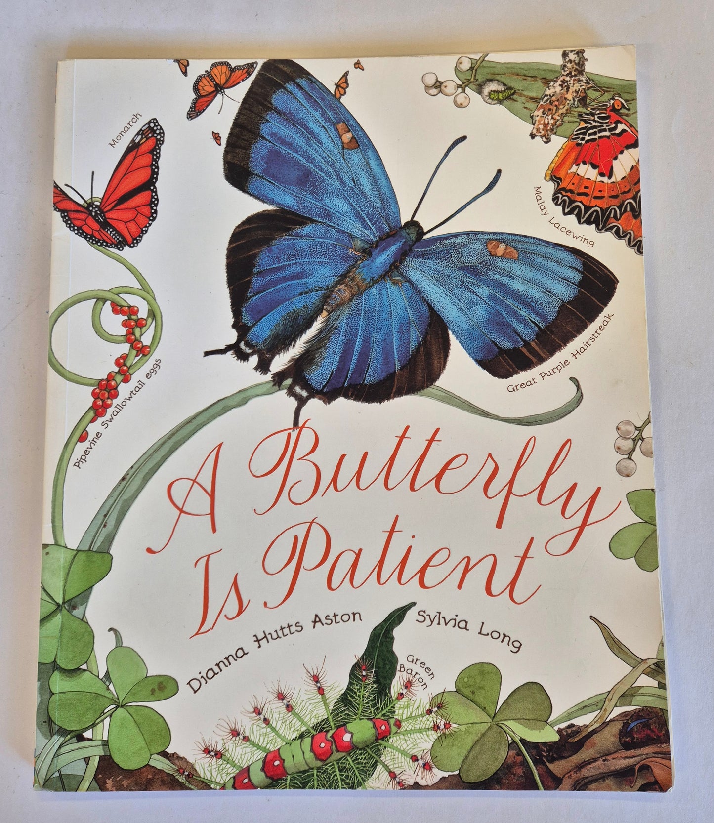 A Butterfly is Patient by Dianna Hutts Aston