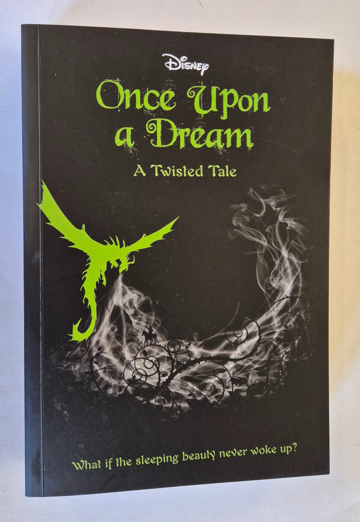 Once Upon a Dream (Disney Twisted Tales) by Liz Braswell