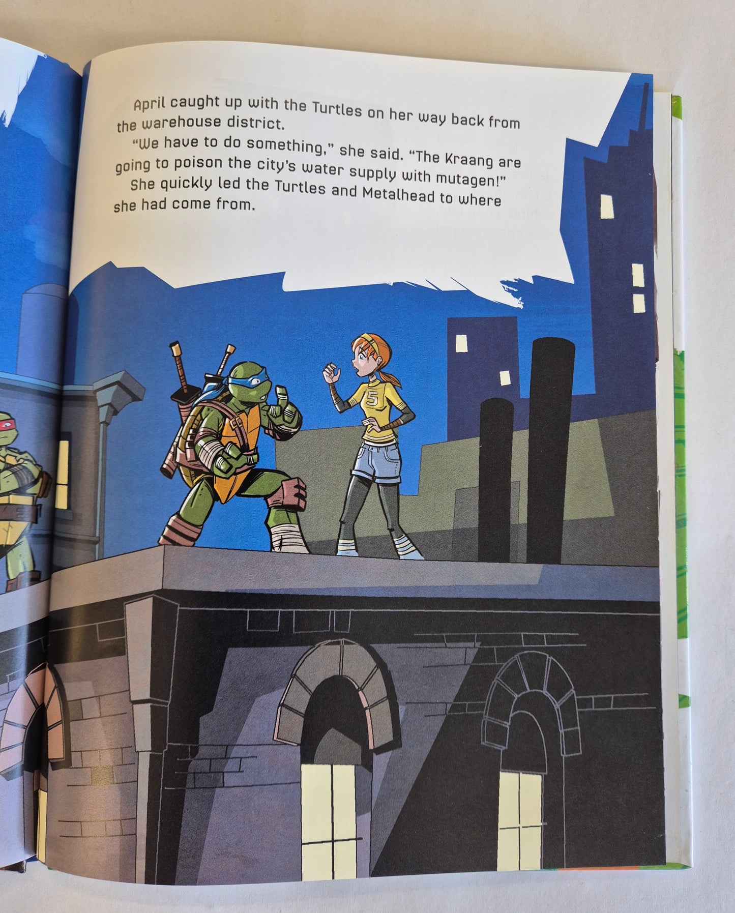 Teenage Mutant Ninja Turtles: Robot Rampage by Christy Webster