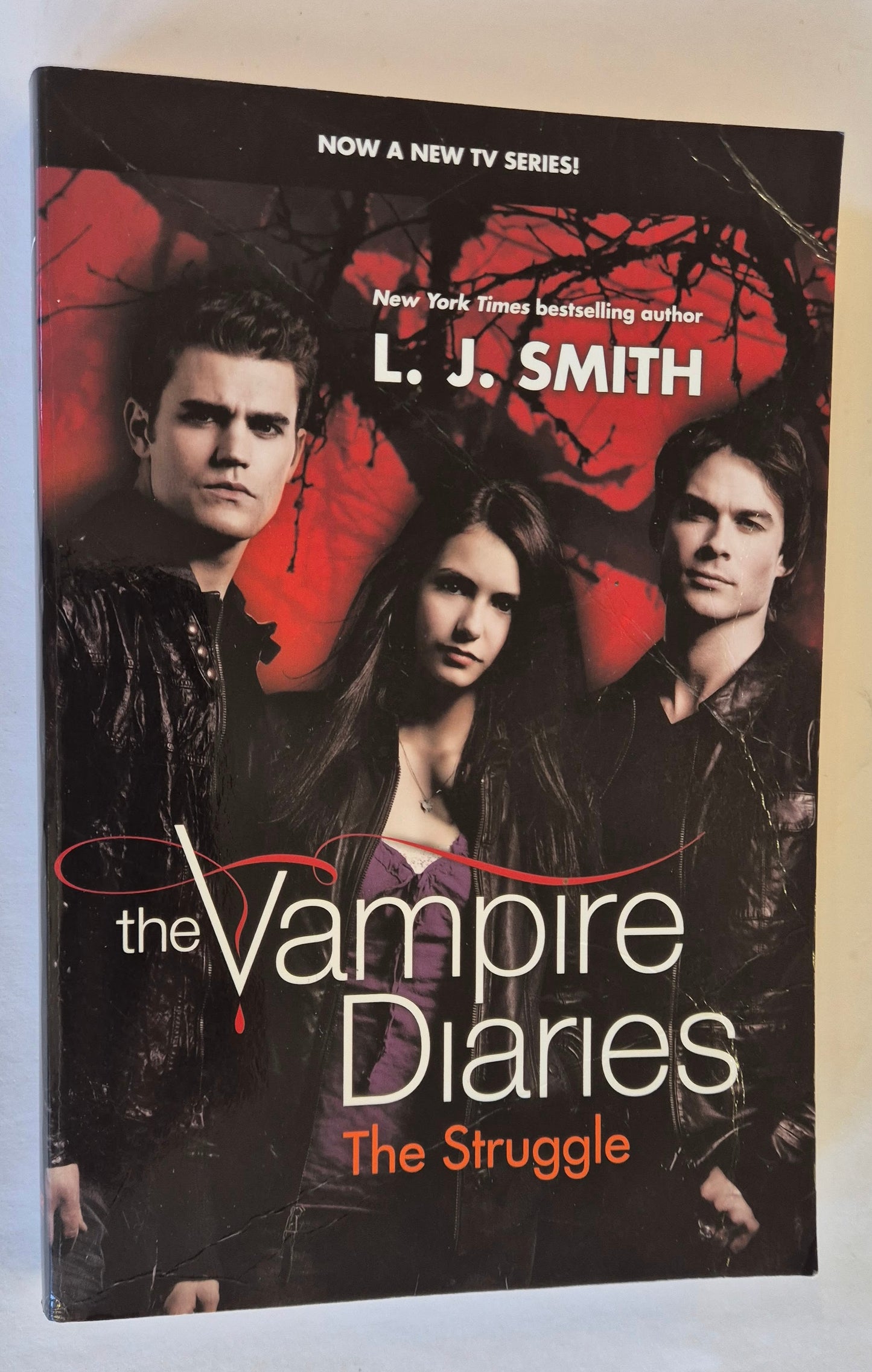 The Struggle (The Vampire Diaries #2) by L. J. Smith