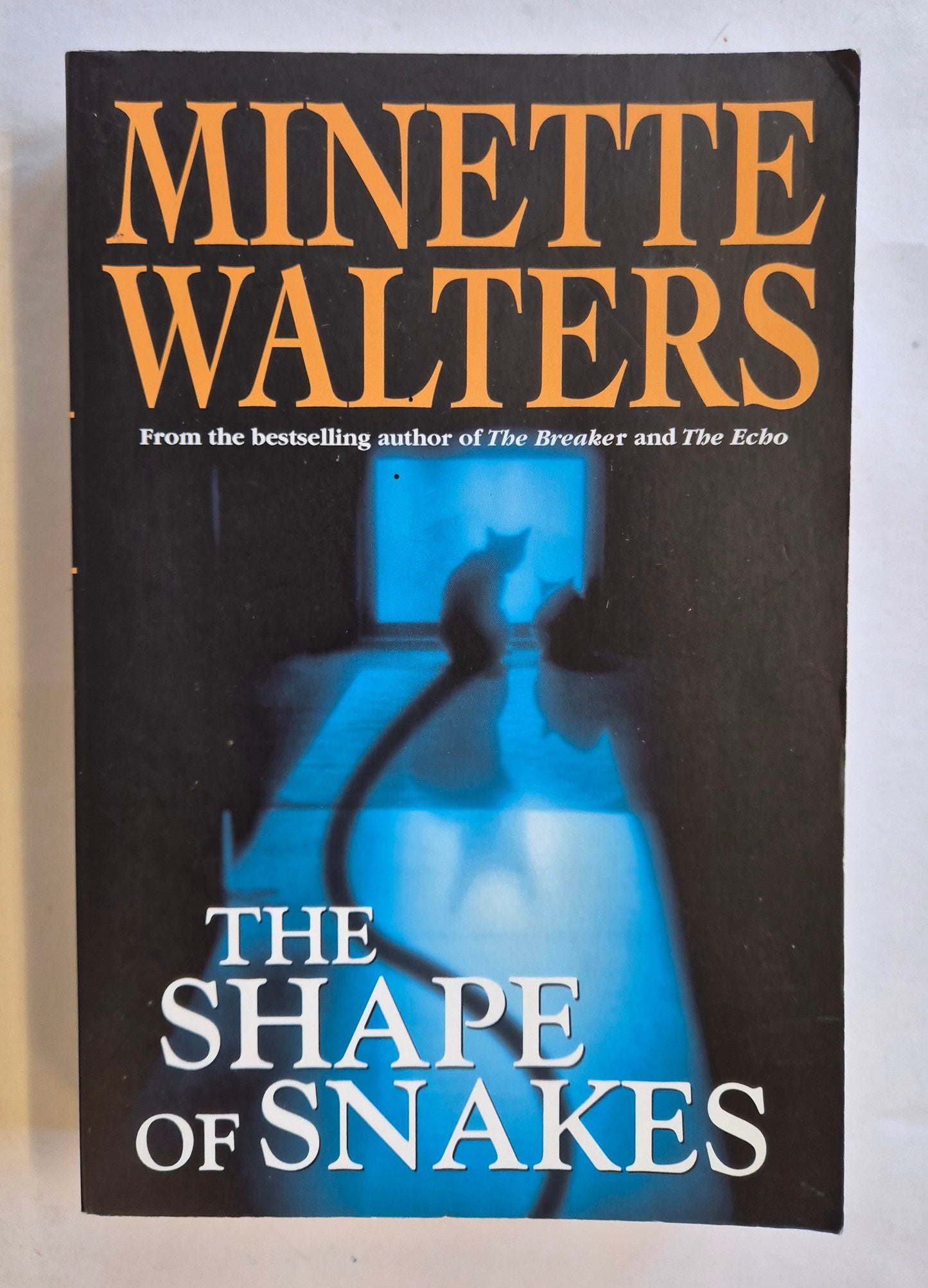 The Shape of Snakes by Minette Walters
