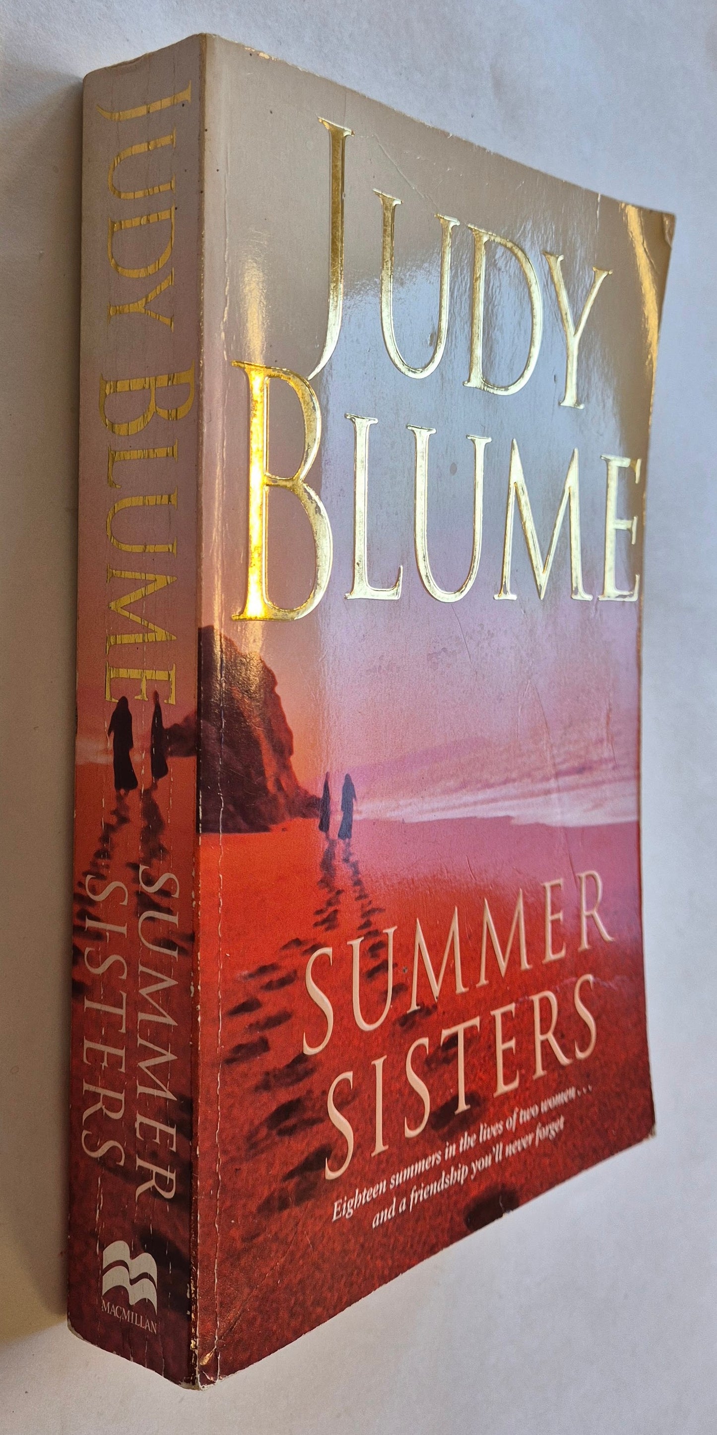Summer Sisters by Judy Blume