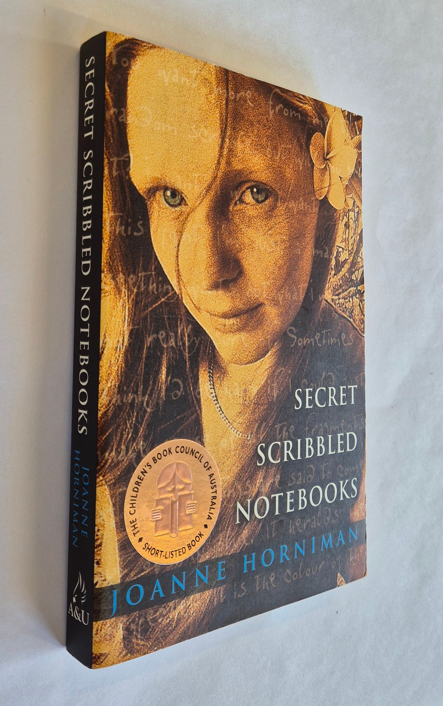 Secret Scribbled Notebooks by Joanne Horniman