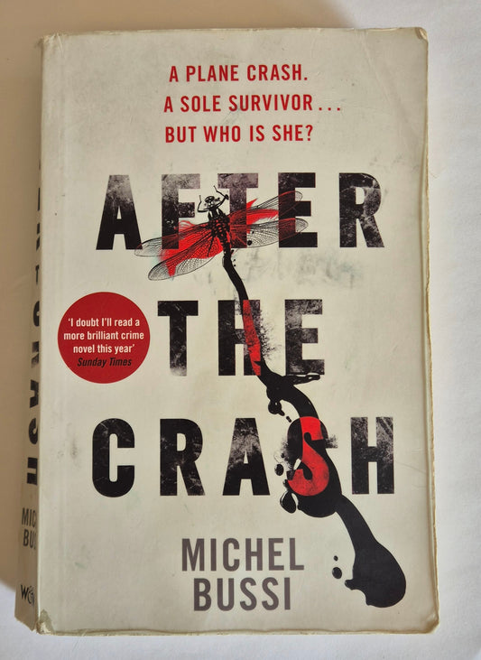 After the Crash by Michel Bussi
