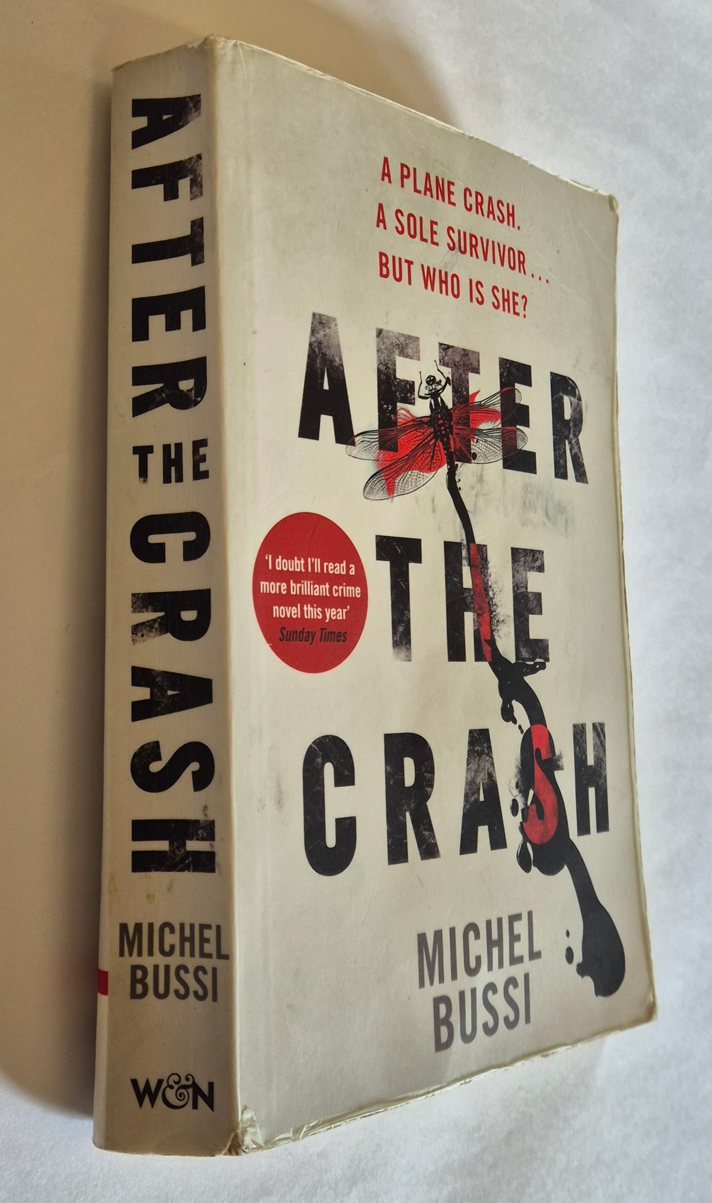 After the Crash by Michel Bussi