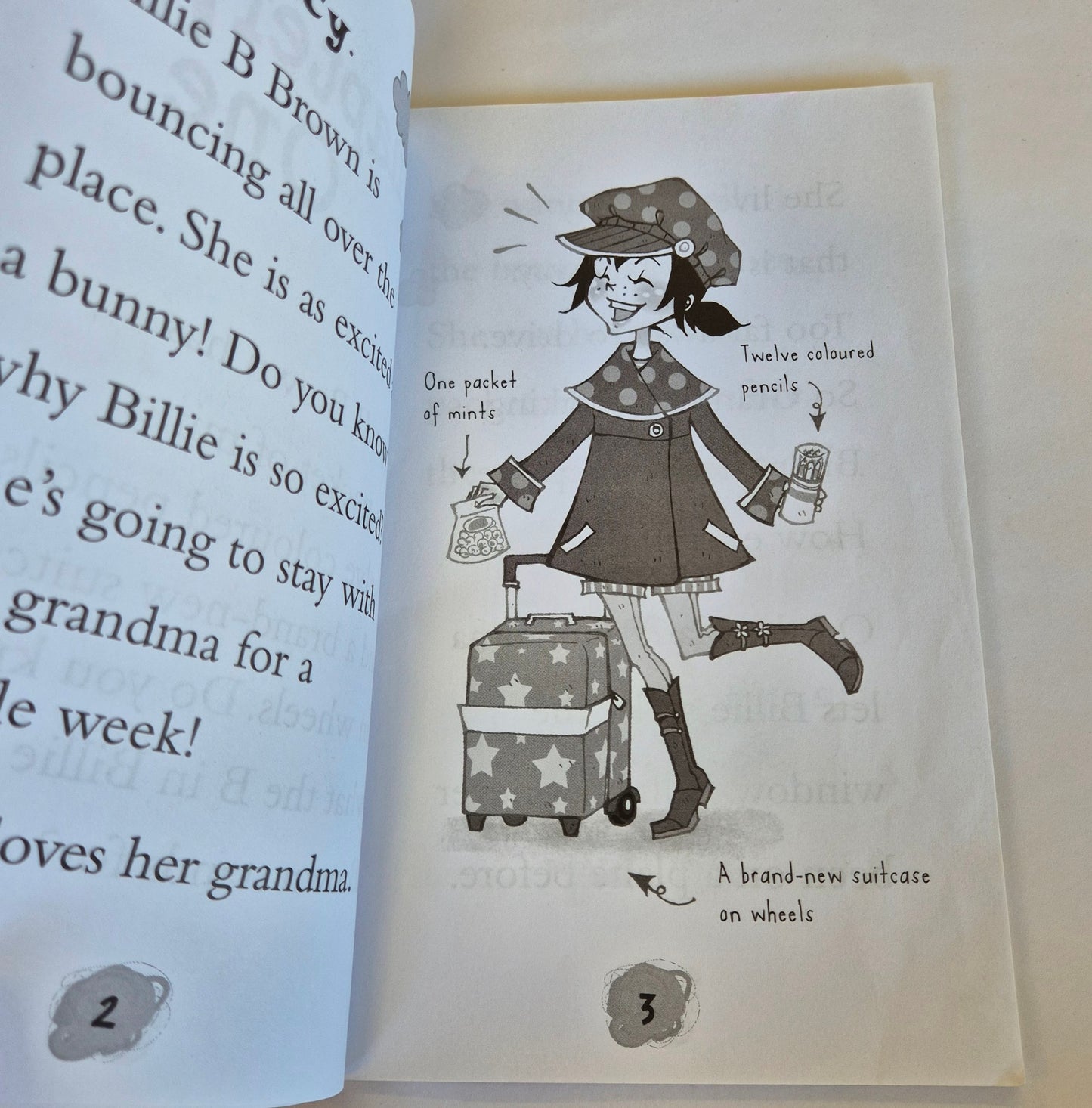 The Spotty Holiday (Billie B Brown #13) by Sally Rippin