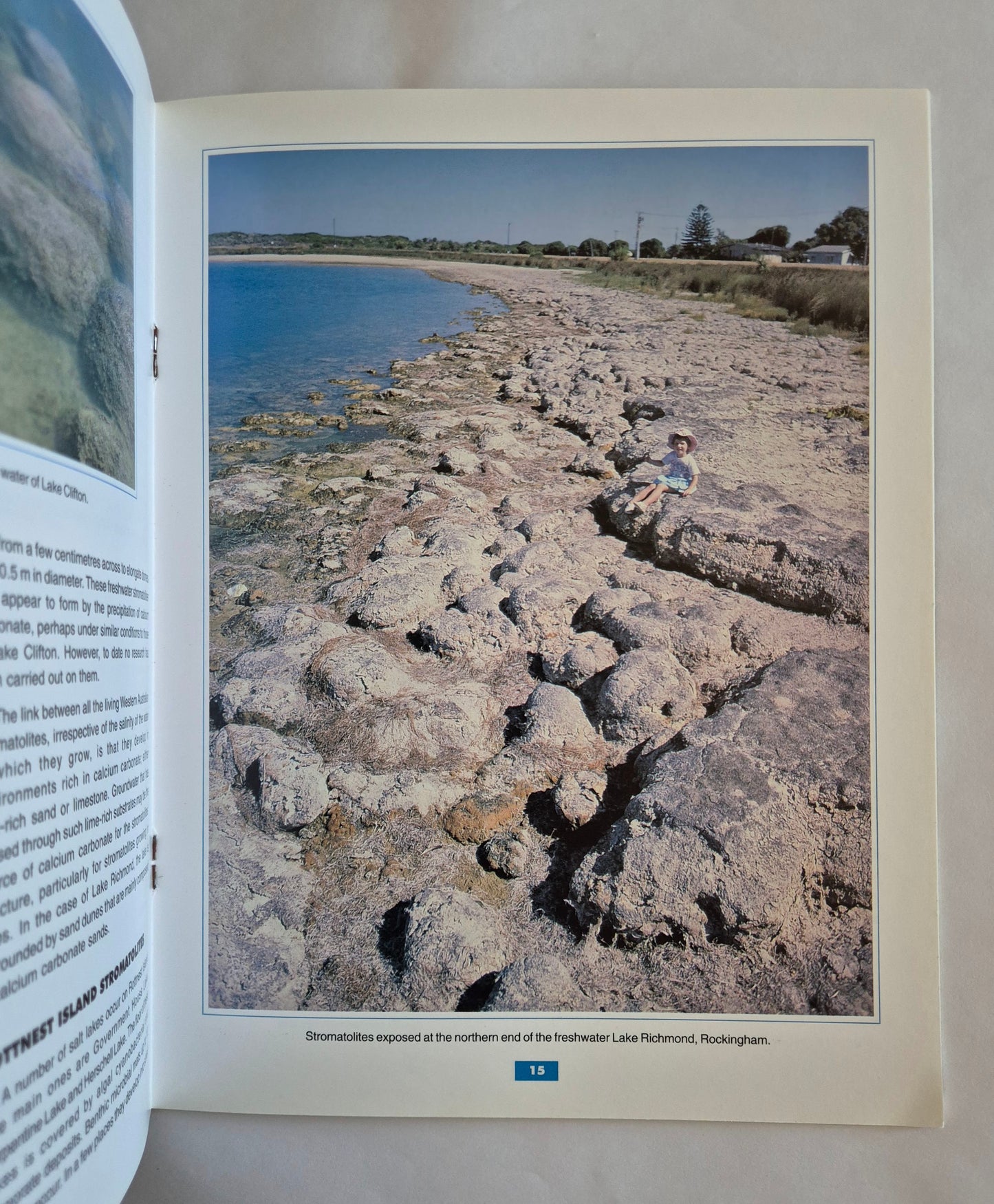 Stromatolites by Ken McNamara