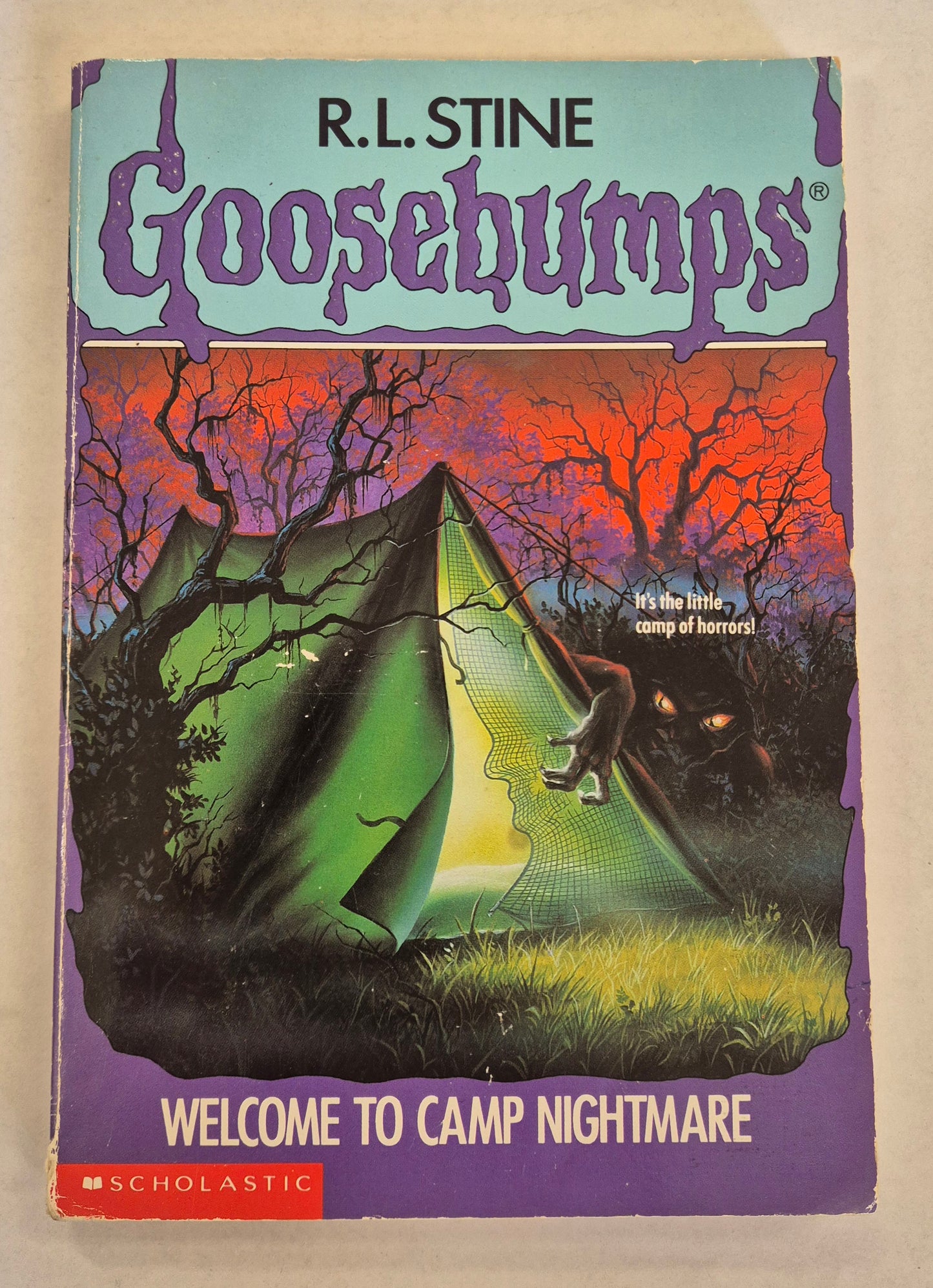 Welcome To Camp Nightmare (Goosebumps #9) by R. L. Stine