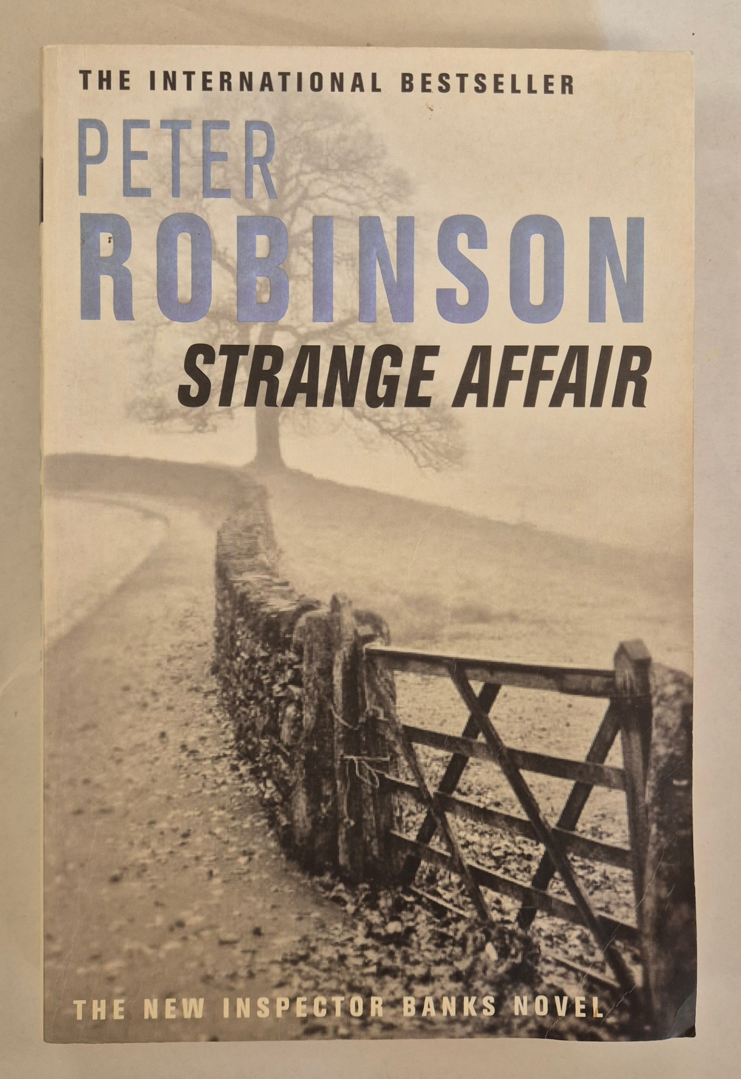 Strange Affair (Inspector Banks #15) by Peter Robinson