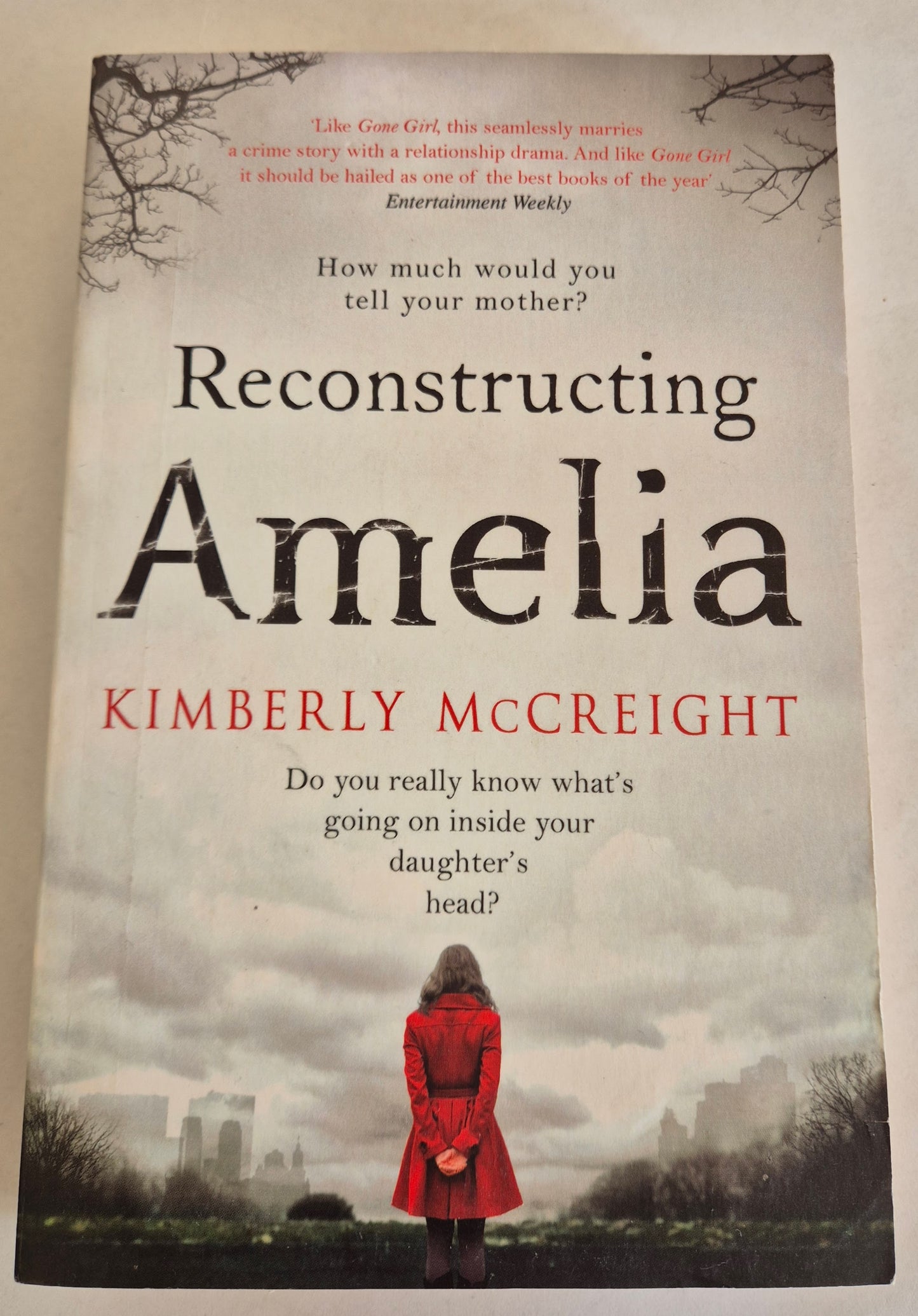 Reconstructing Amelia by Kimberly McCreight