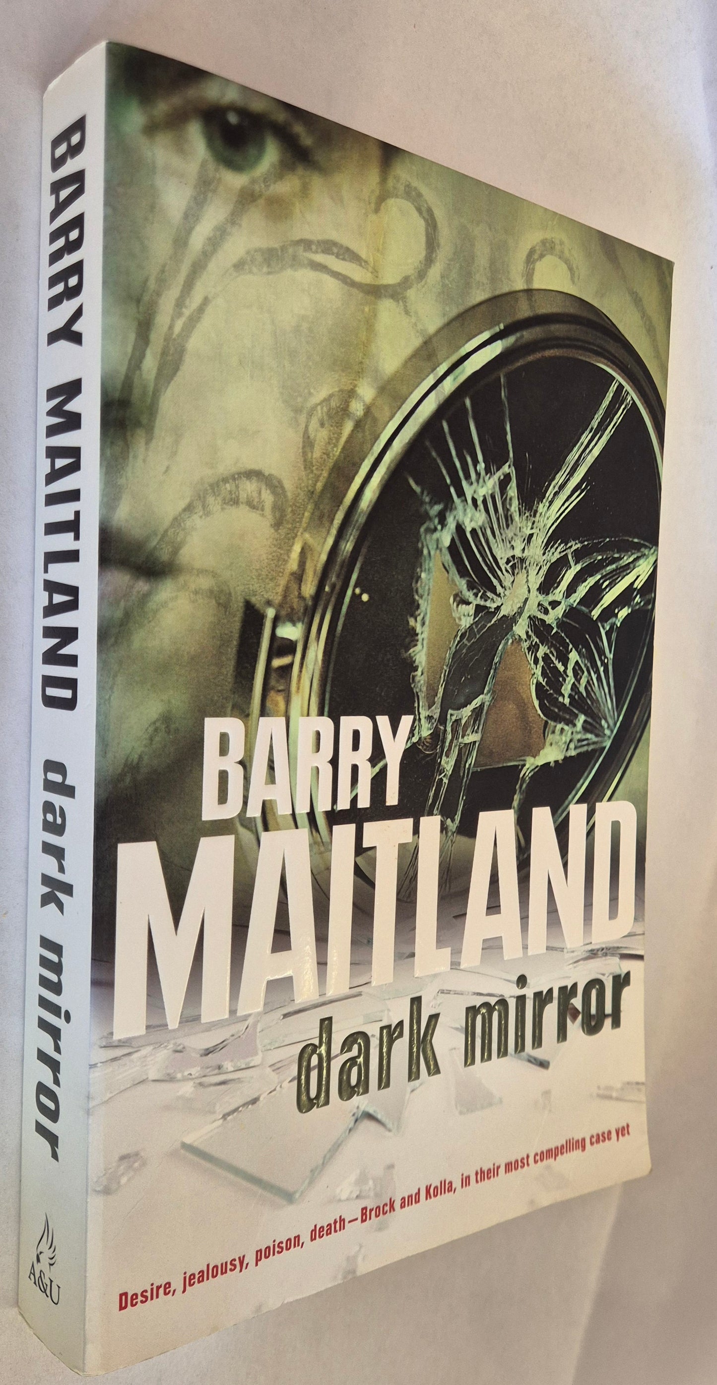 Dark Mirror (Brock & Kolla #10) by Barry Maitland