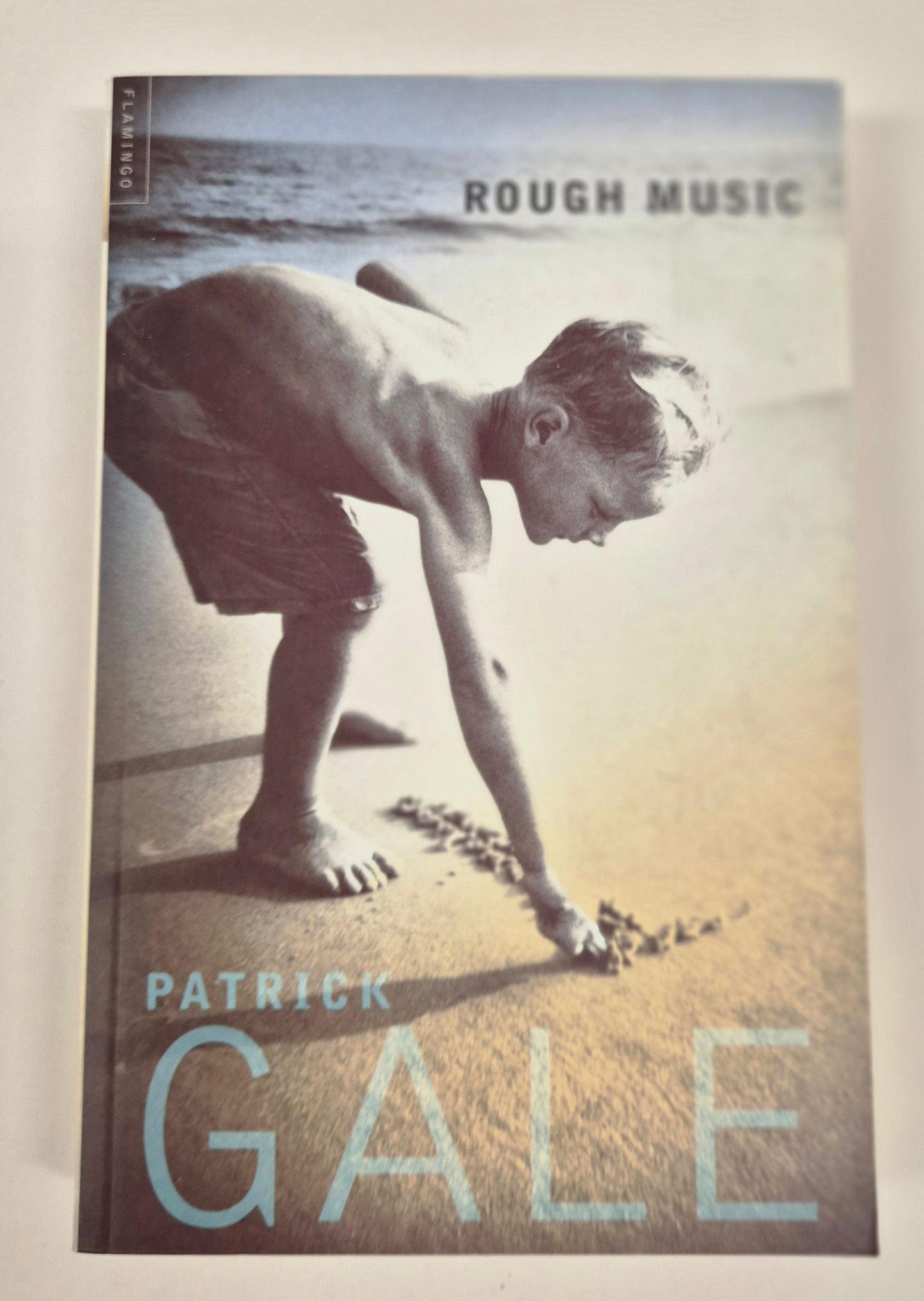 Rough Music by Patrick Gale