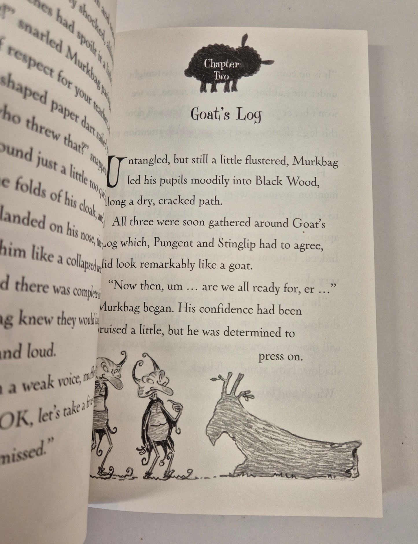 Goblins #4: Shadow Goblins by David Melling