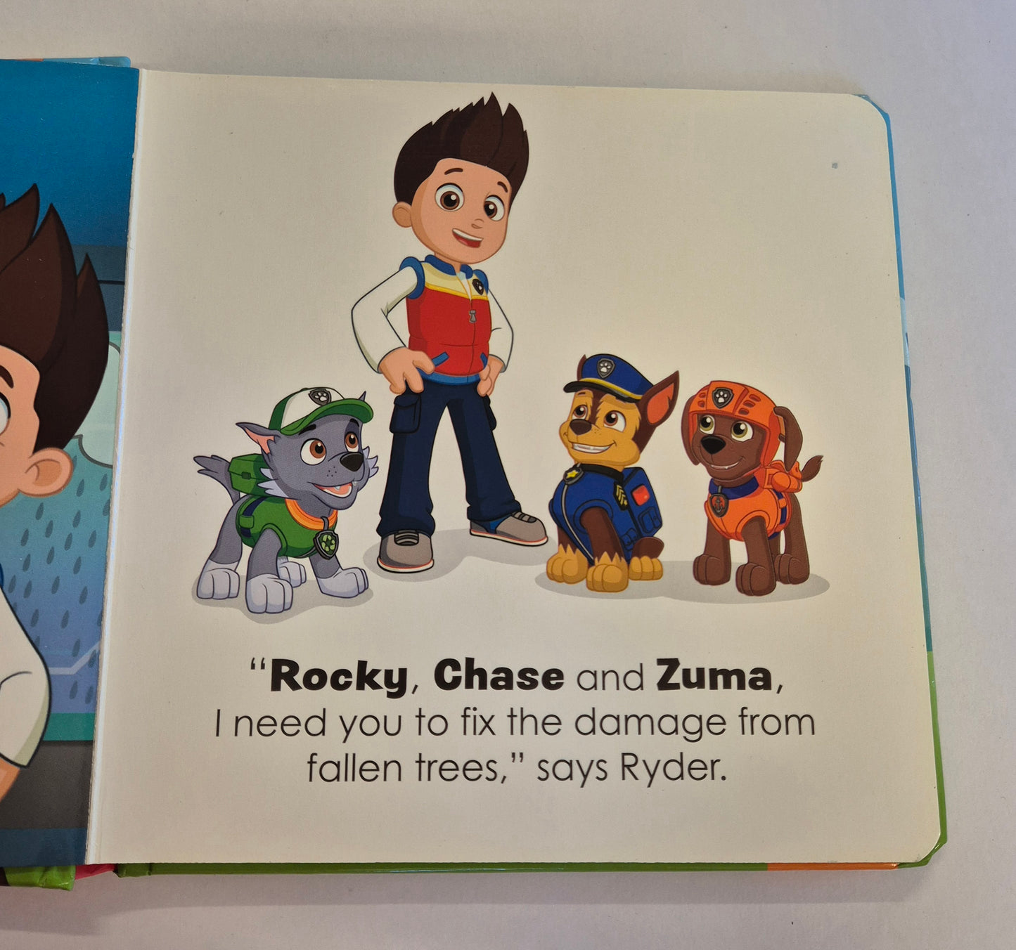 Paw Patrol Pup Heroes (Board Book)