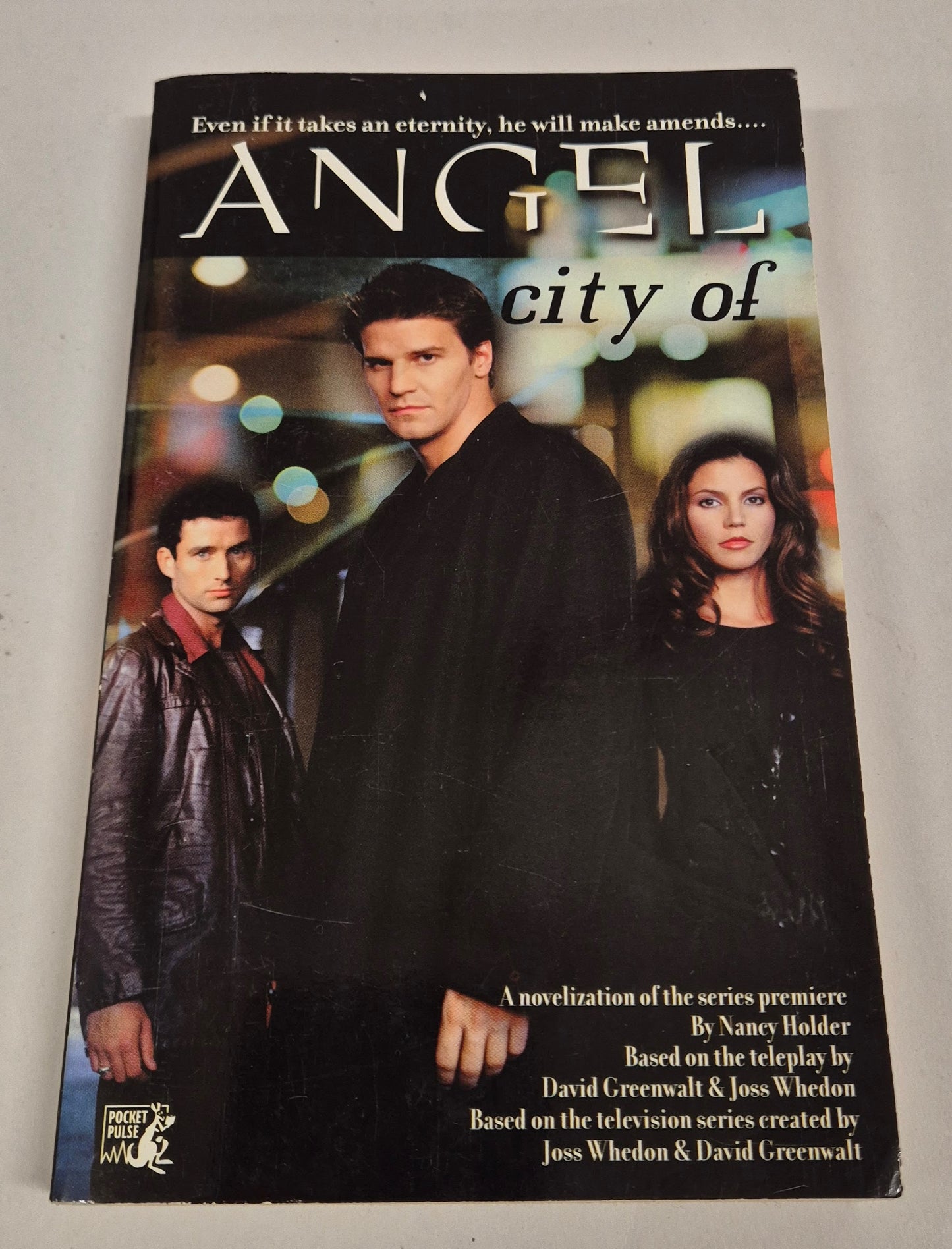 Angel: City of (Buffyverse Novels #44) by Nancy Holder