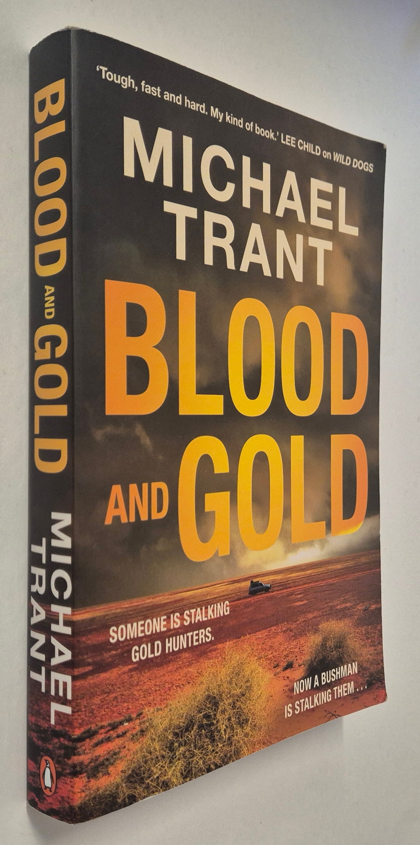 Blood and Gold (Gabe Ahern #3) by Michael Trant