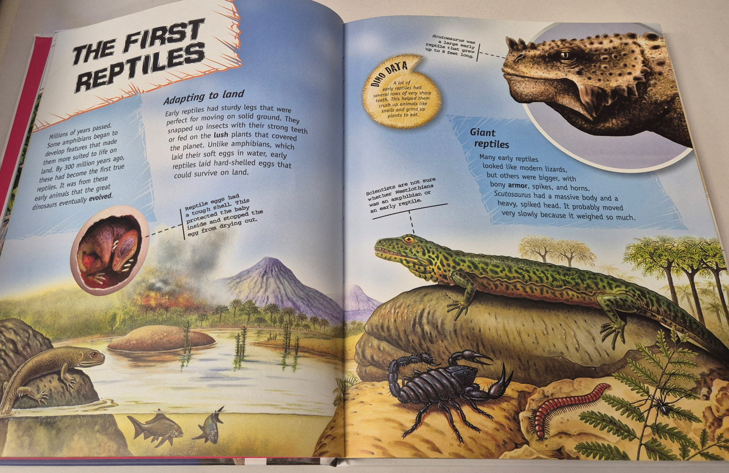 Incredible but True: Dinosaurs by Dougal Dixon