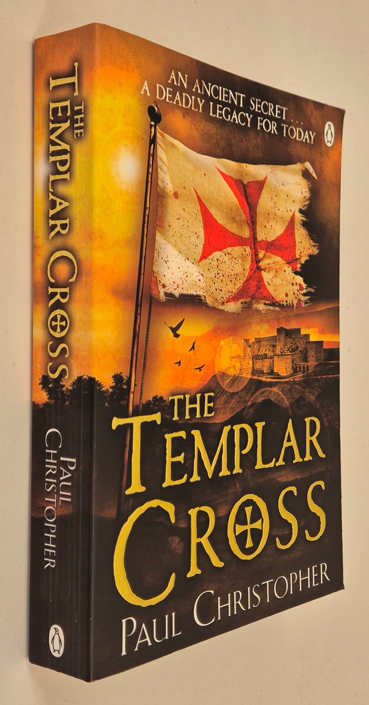 The Templar Cross (Templar #2) by Paul Christopher
